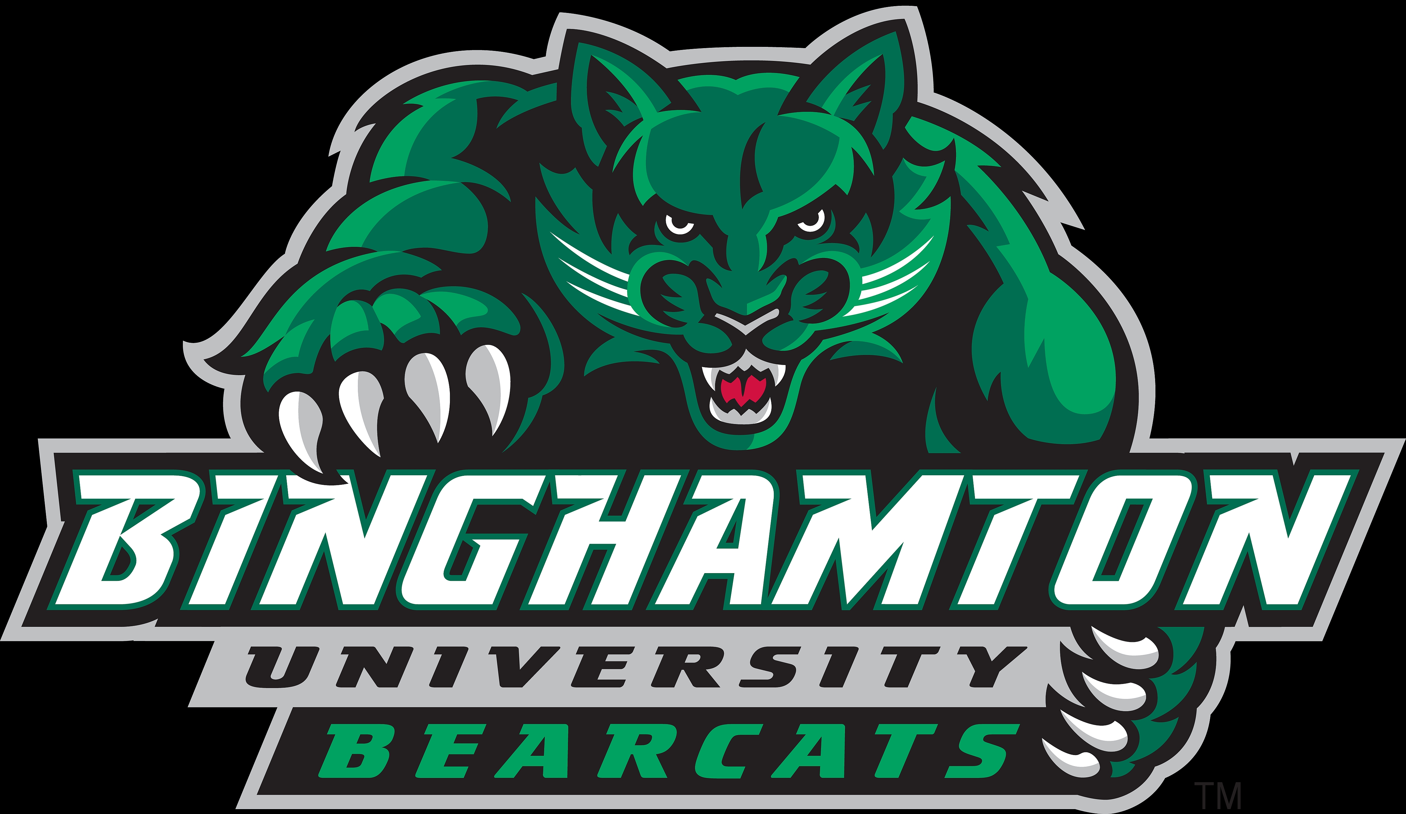 Descargar fondos de escritorio de Osos Polares De La Universidad De Binghamton HD