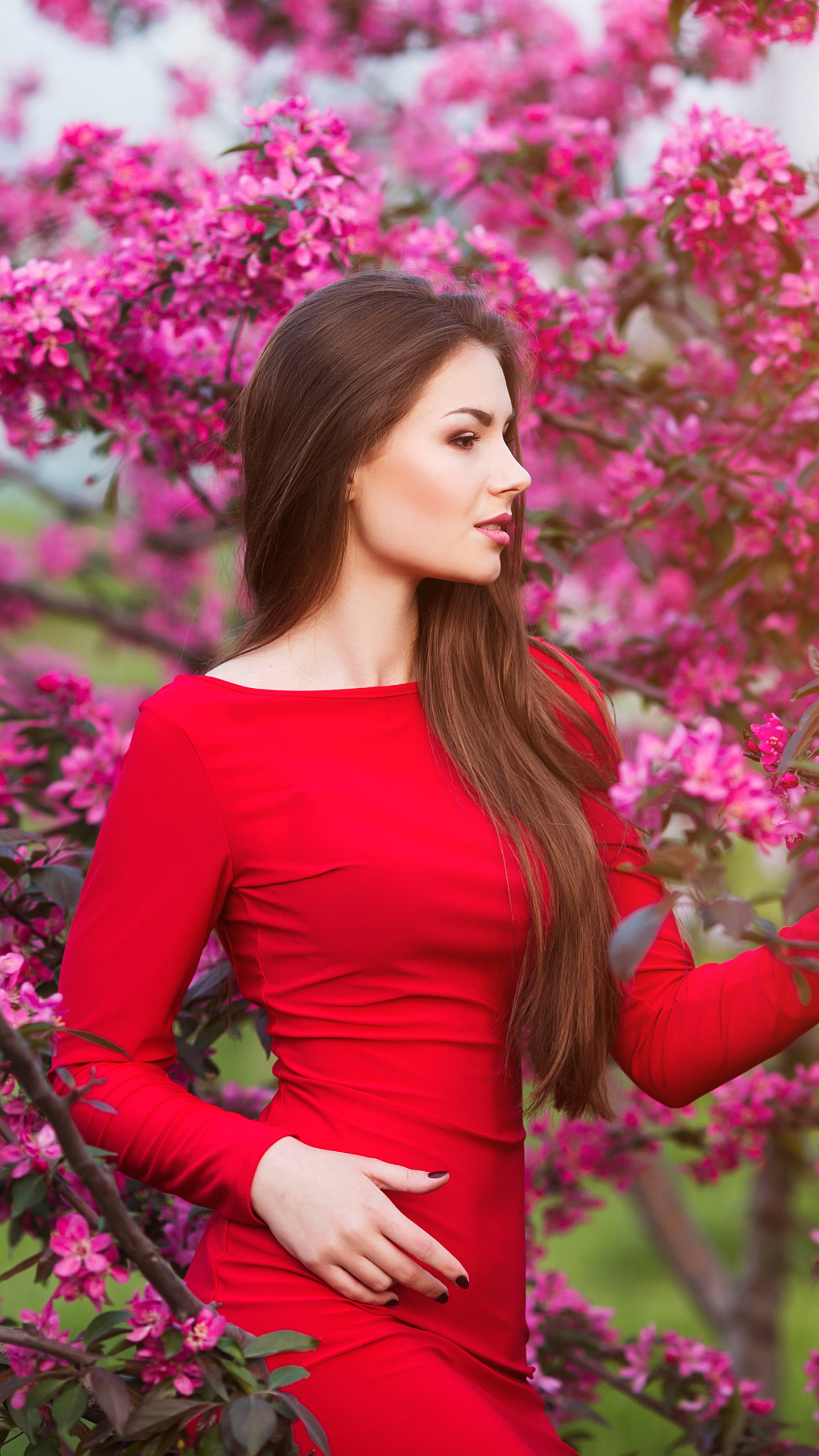 Download mobile wallpaper Brunette, Model, Women, Blossom, Long Hair, Pink Flower, Red Dress for free.