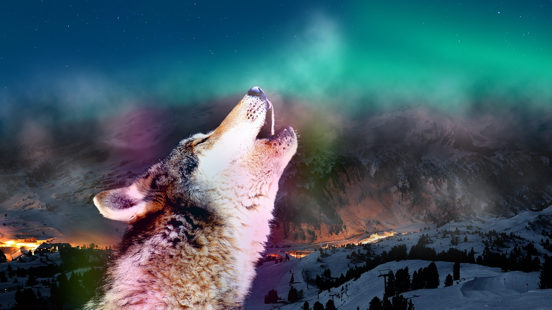 Descarga gratuita de fondo de pantalla para móvil de Lobos, Animales.