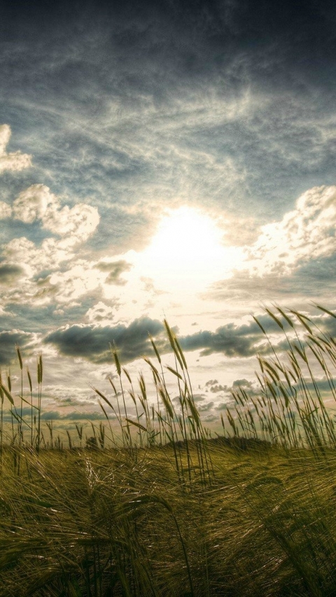 Handy-Wallpaper Landschaft, Erde/natur kostenlos herunterladen.