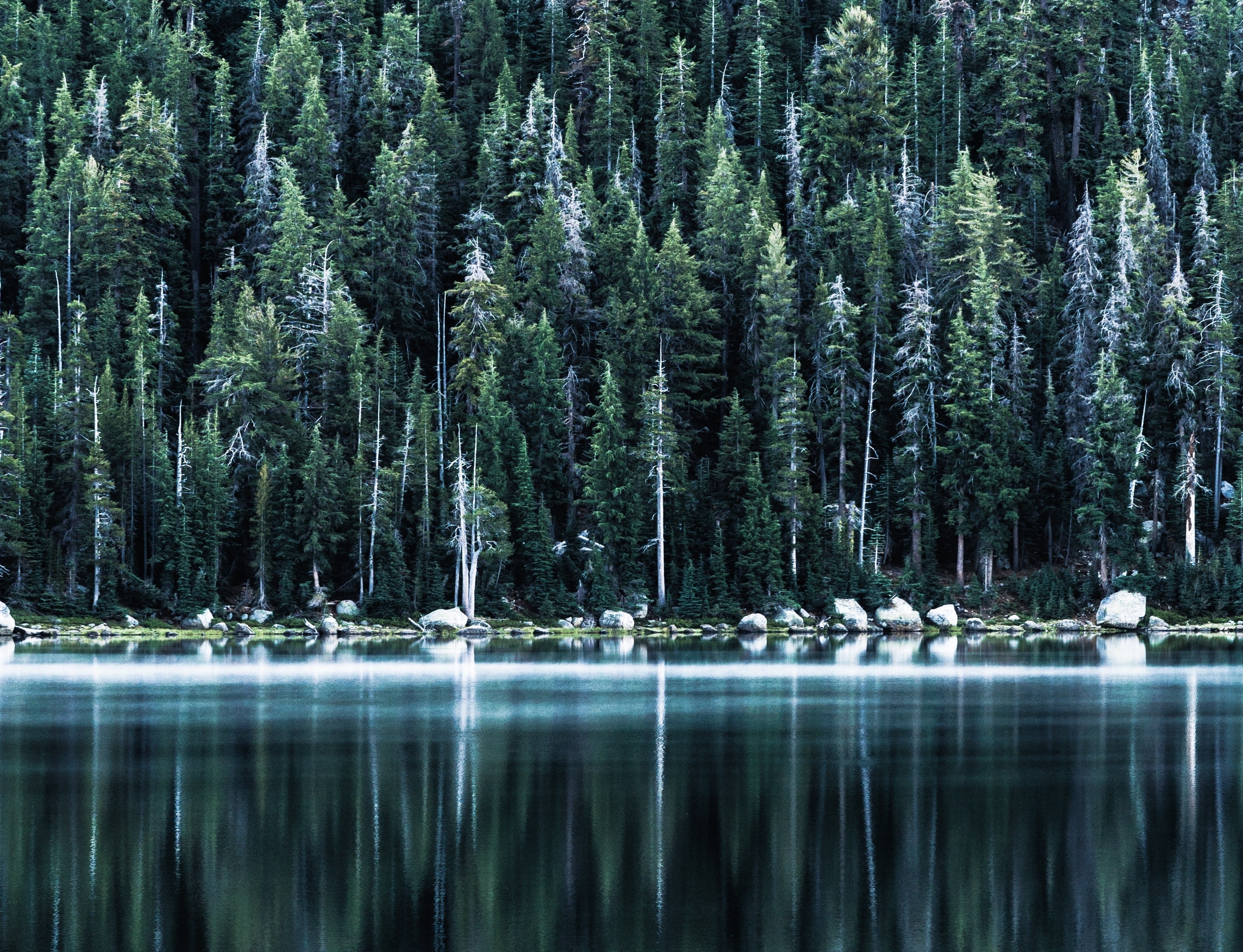 Скачать картинку Озеро, Отражение, Лес, Земля/природа в телефон бесплатно.