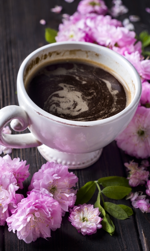 Handy-Wallpaper Blume, Tasse, Nahrungsmittel, Pinke Blume, Getränk, Kaffee kostenlos herunterladen.