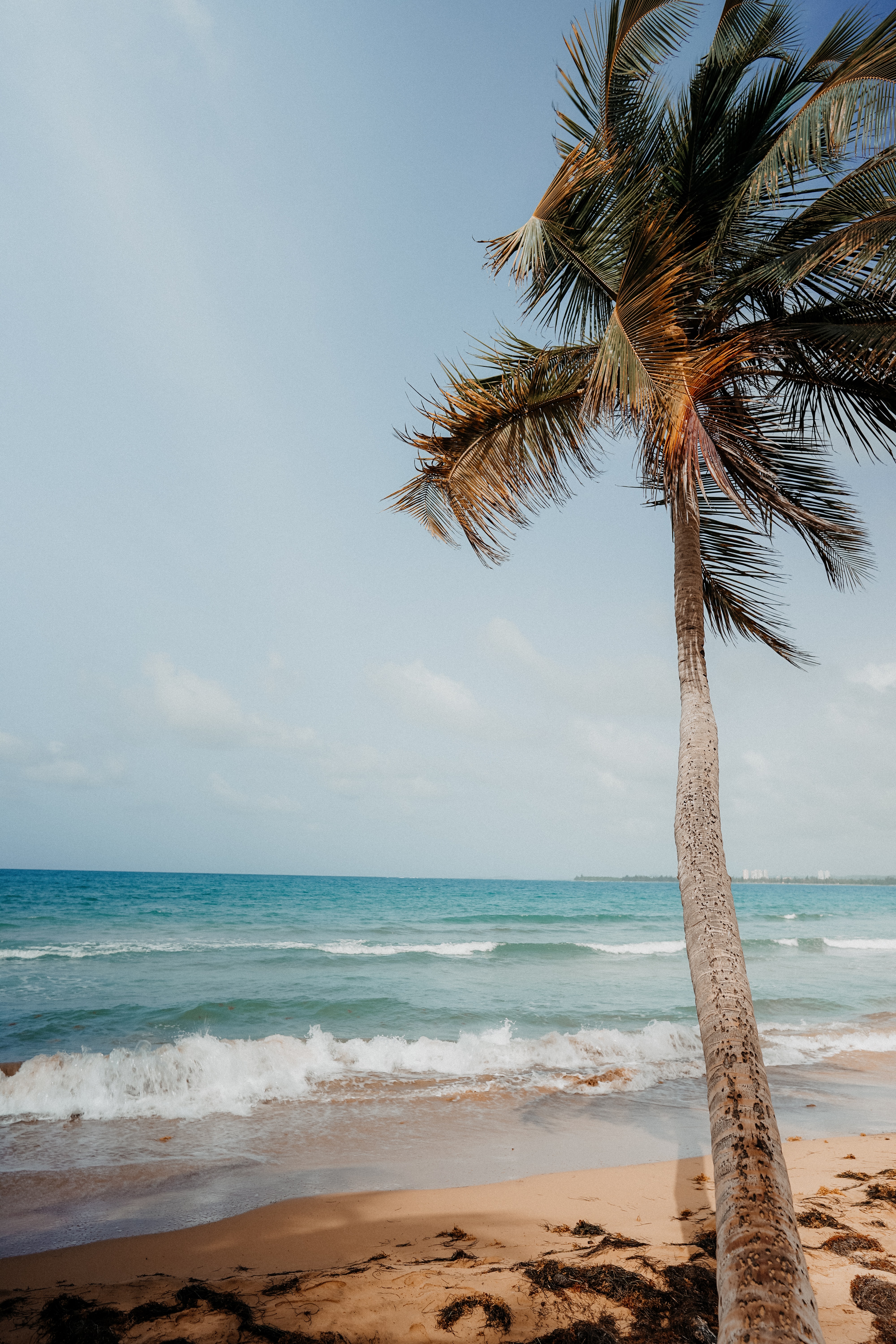 Free download wallpaper Nature, Sea, Palm, Tropics, Beach on your PC desktop