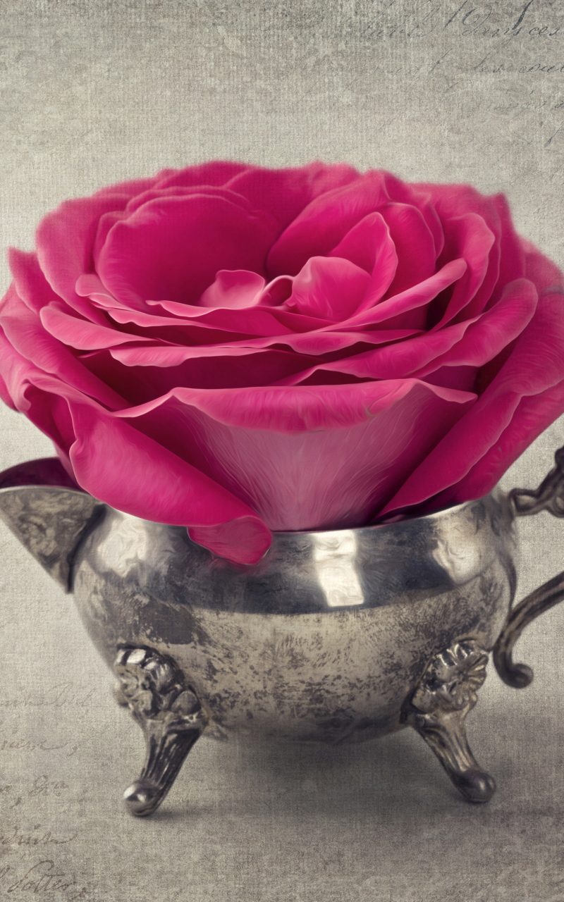 Handy-Wallpaper Blume, Rose, Vase, Menschengemacht, Pinke Blume, Stillleben kostenlos herunterladen.