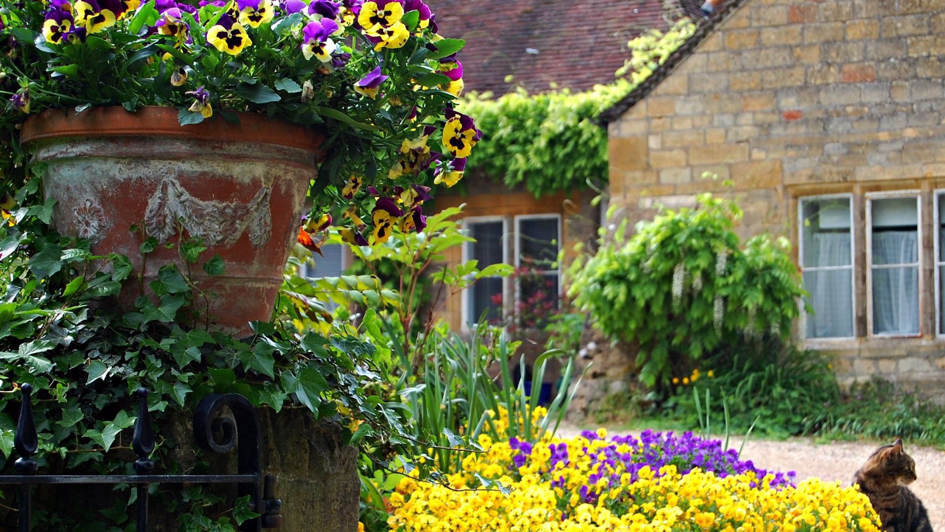 Laden Sie das Natur, Gebäude, Blumen-Bild kostenlos auf Ihren PC-Desktop herunter