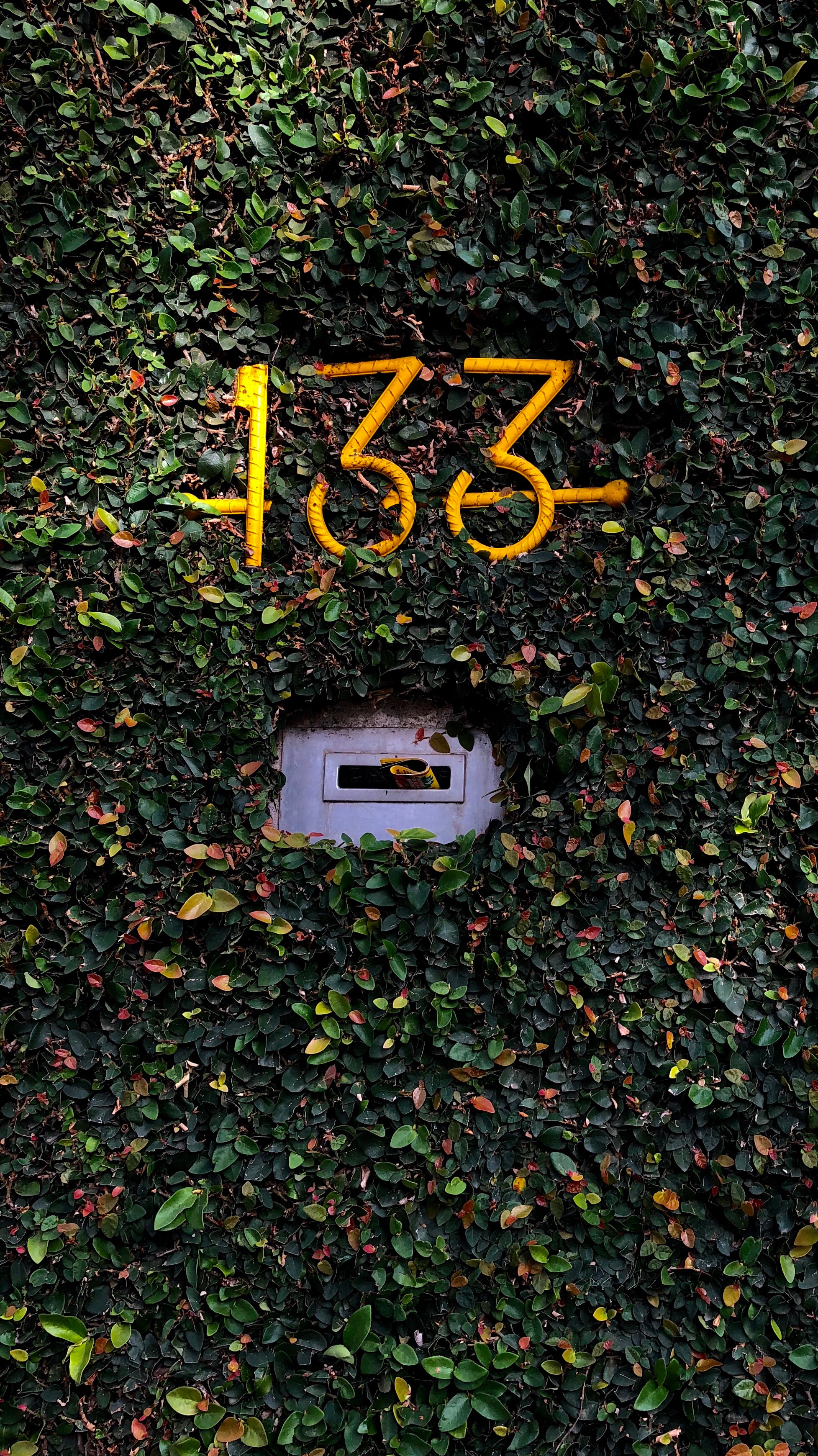 117160 завантажити шпалери листя, рослина, різне, номер, число, поштова скринька - заставки і картинки безкоштовно