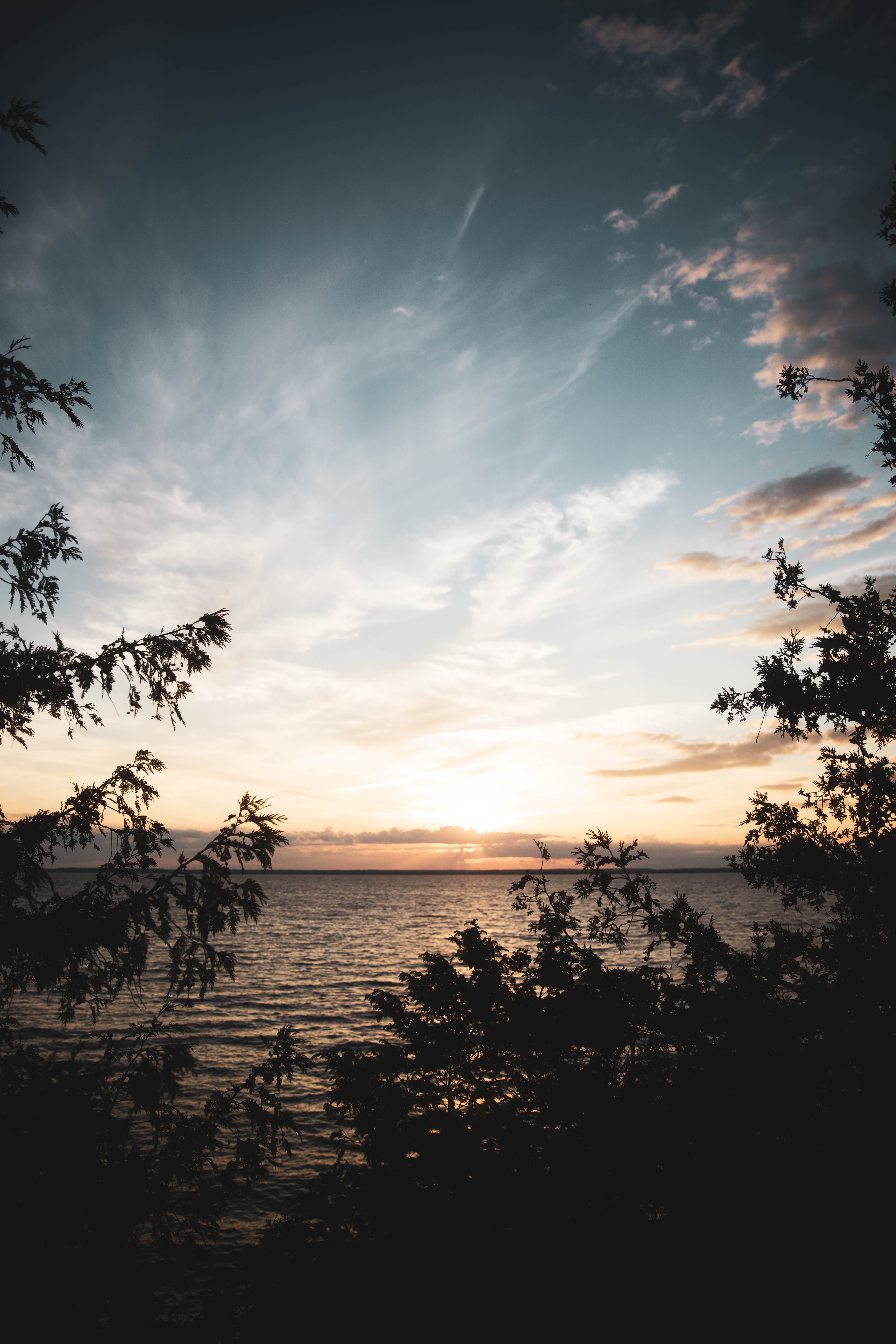 Laden Sie das Natur, Sky, Geäst, Zweige, Horizont, Sunset, Sea-Bild kostenlos auf Ihren PC-Desktop herunter