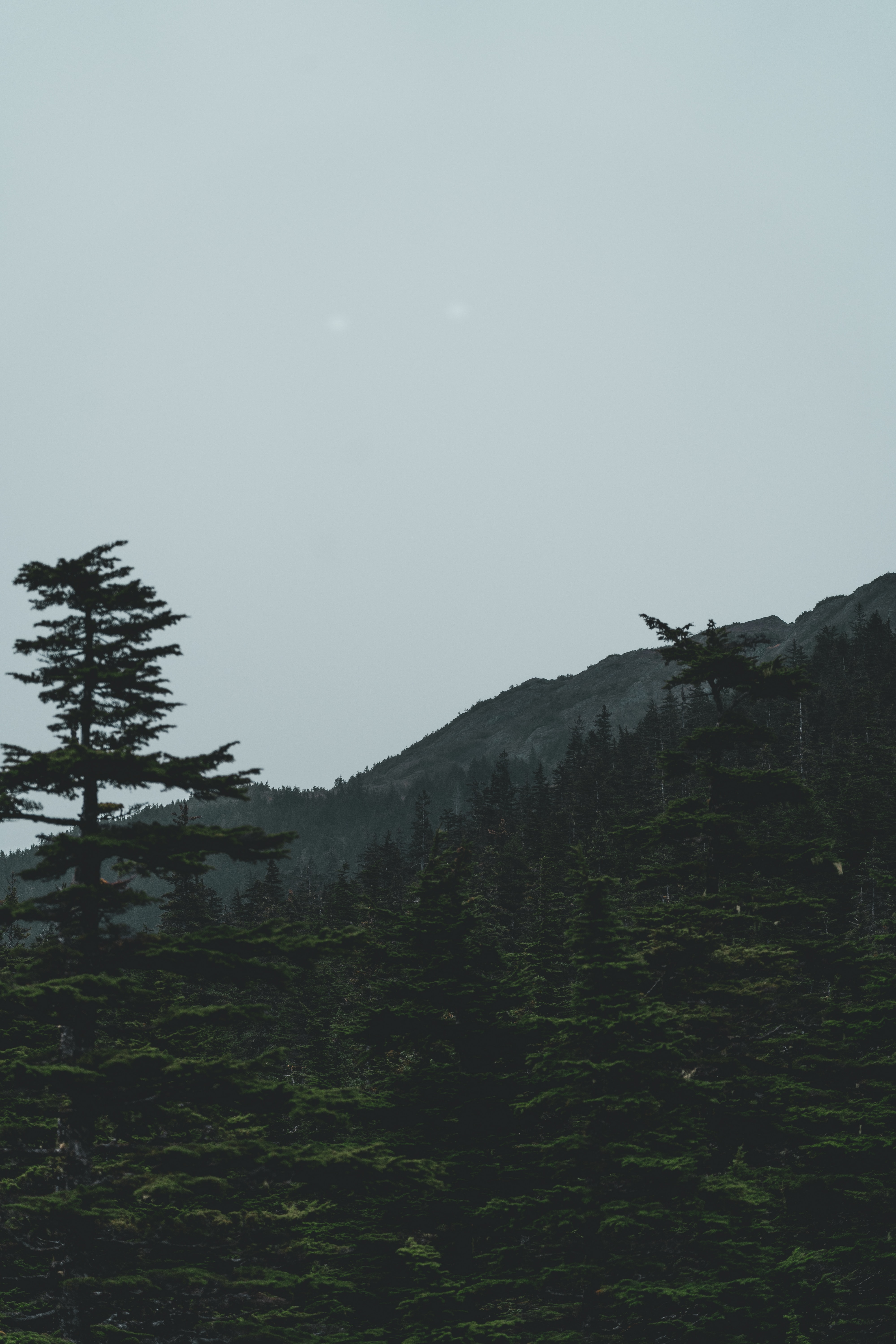 Free download wallpaper Nature, Trees, Mountains, Coniferous, Forest, Dark on your PC desktop