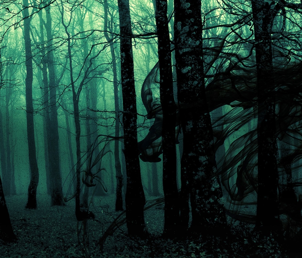 Free download wallpaper Dark, Forest, Tree on your PC desktop