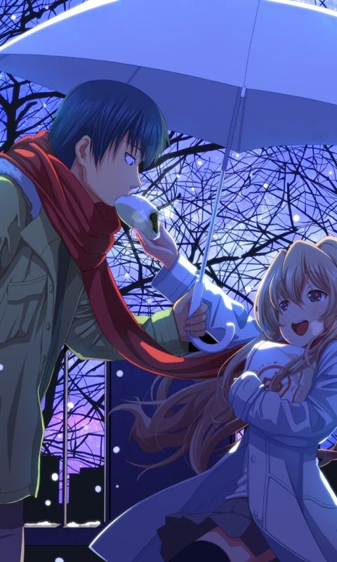 Download mobile wallpaper Anime, Winter, Couple, Toradora!, Taiga Aisaka, Ryuuji Takasu for free.
