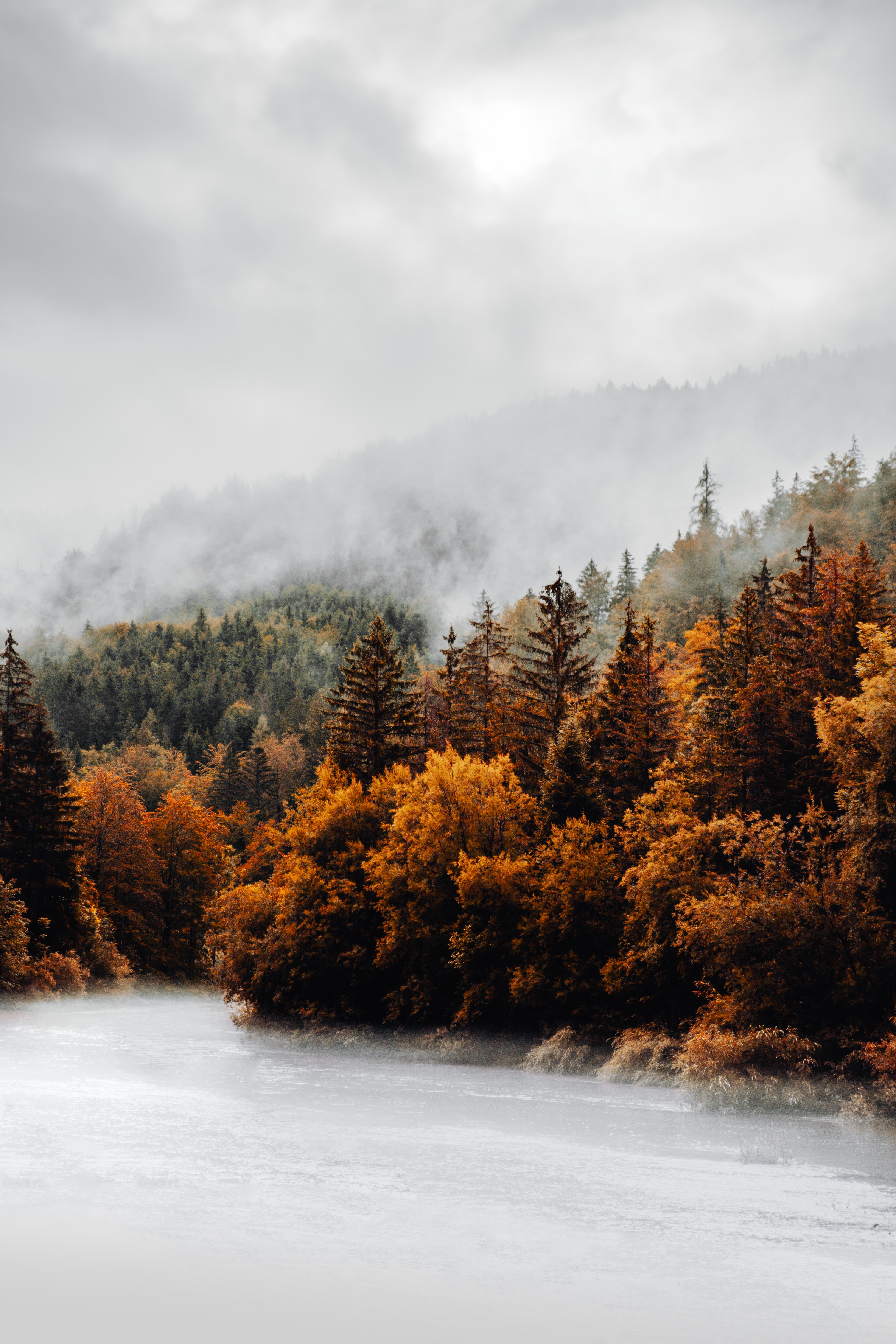 autumn, nature, trees, clouds, forest, fog lock screen backgrounds