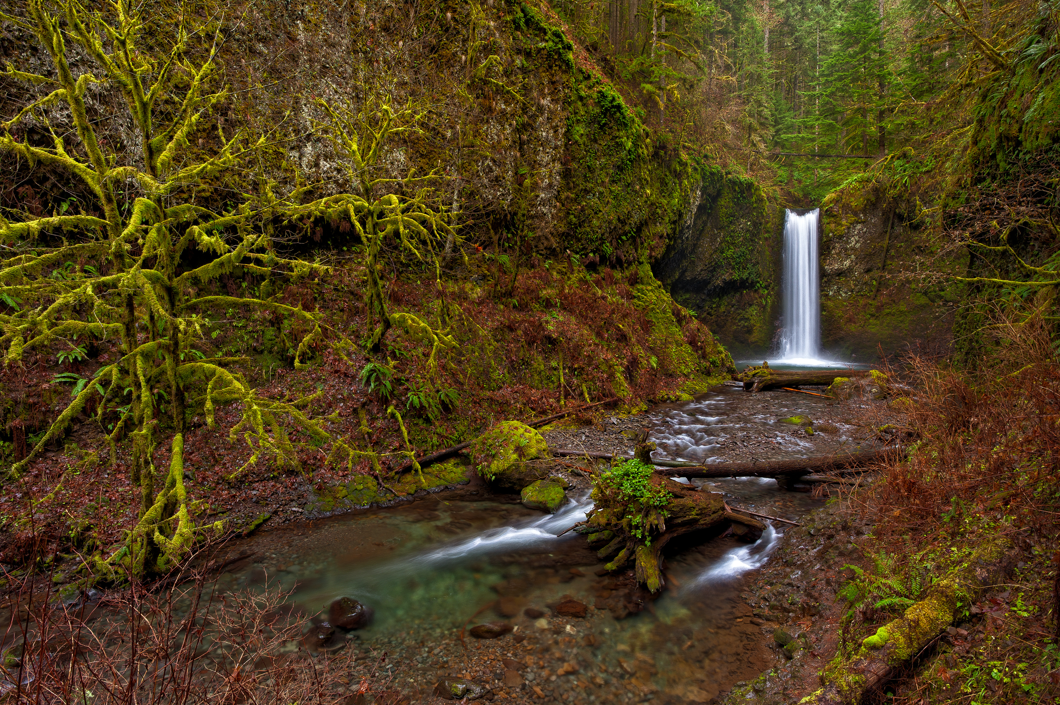Téléchargez gratuitement l'image Cascades, Mousse, Flux, La Nature, Terre/nature, Chûte D'eau sur le bureau de votre PC