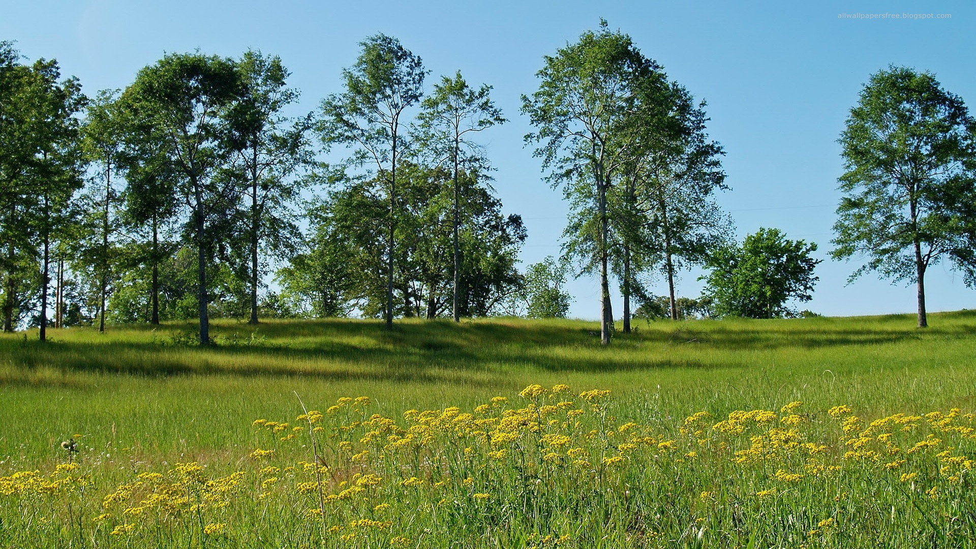 Téléchargez gratuitement l'image Paysage, Terre/nature sur le bureau de votre PC