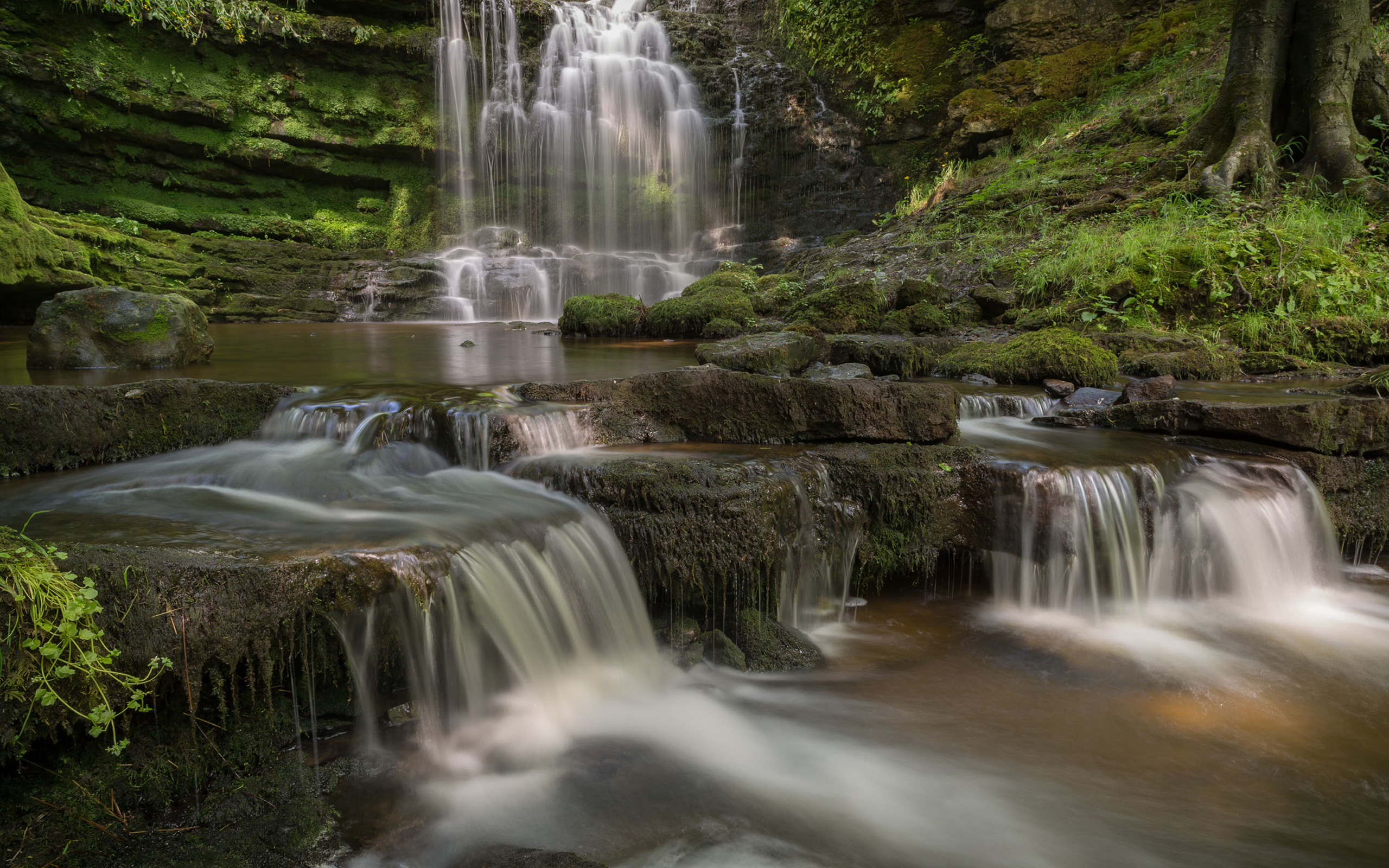 Laden Sie das Wasserfälle, Wasserfall, Baum, Moos, Erde/natur-Bild kostenlos auf Ihren PC-Desktop herunter