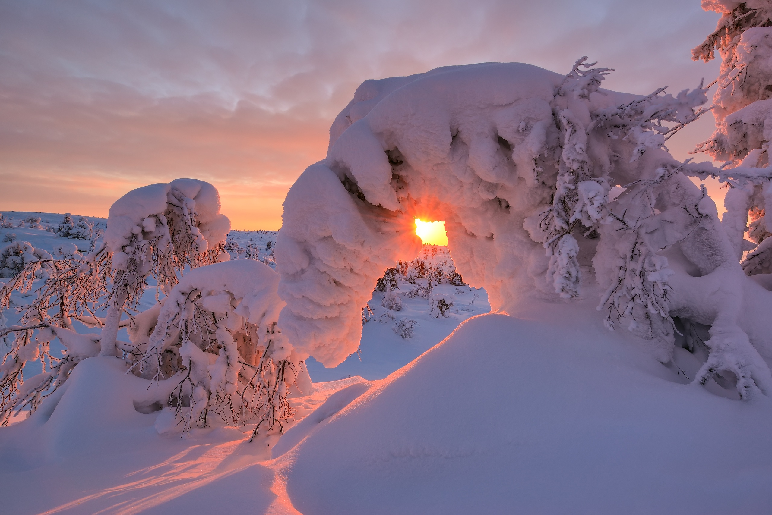 Handy-Wallpaper Winter, Schnee, Erde/natur kostenlos herunterladen.