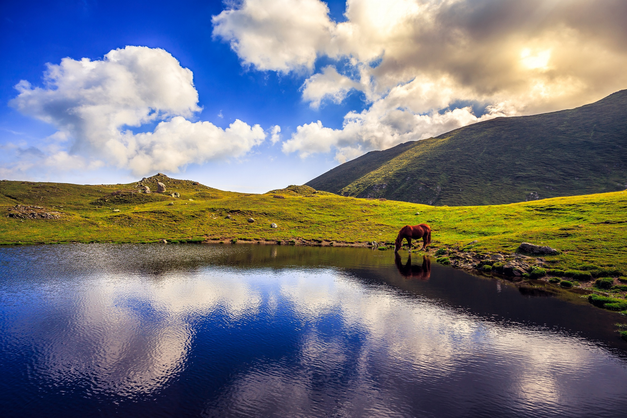 Download mobile wallpaper Nature, Lakes, Mountain, Lake, Reflection, Earth, Cloud, Horse for free.