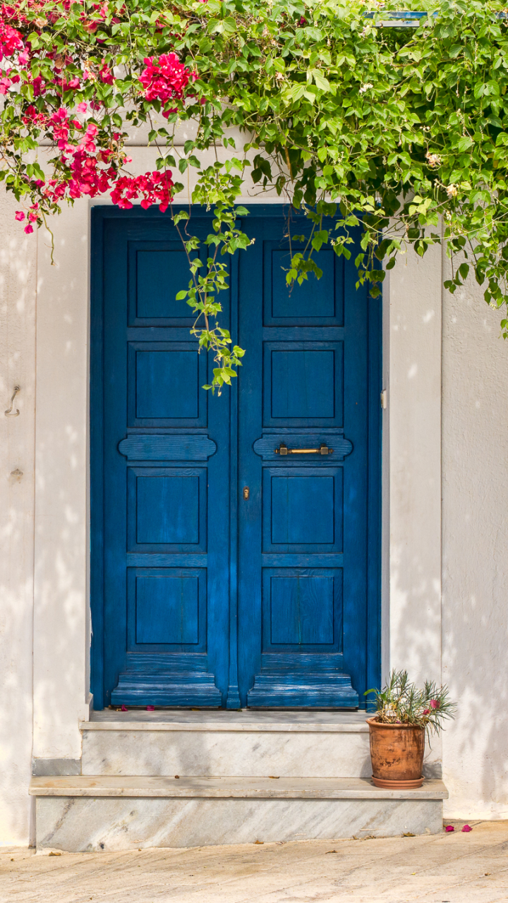 Скачать картинку Цветок, Синий, Дом, Дверь, Греция, Санторини, Сделано Человеком в телефон бесплатно.