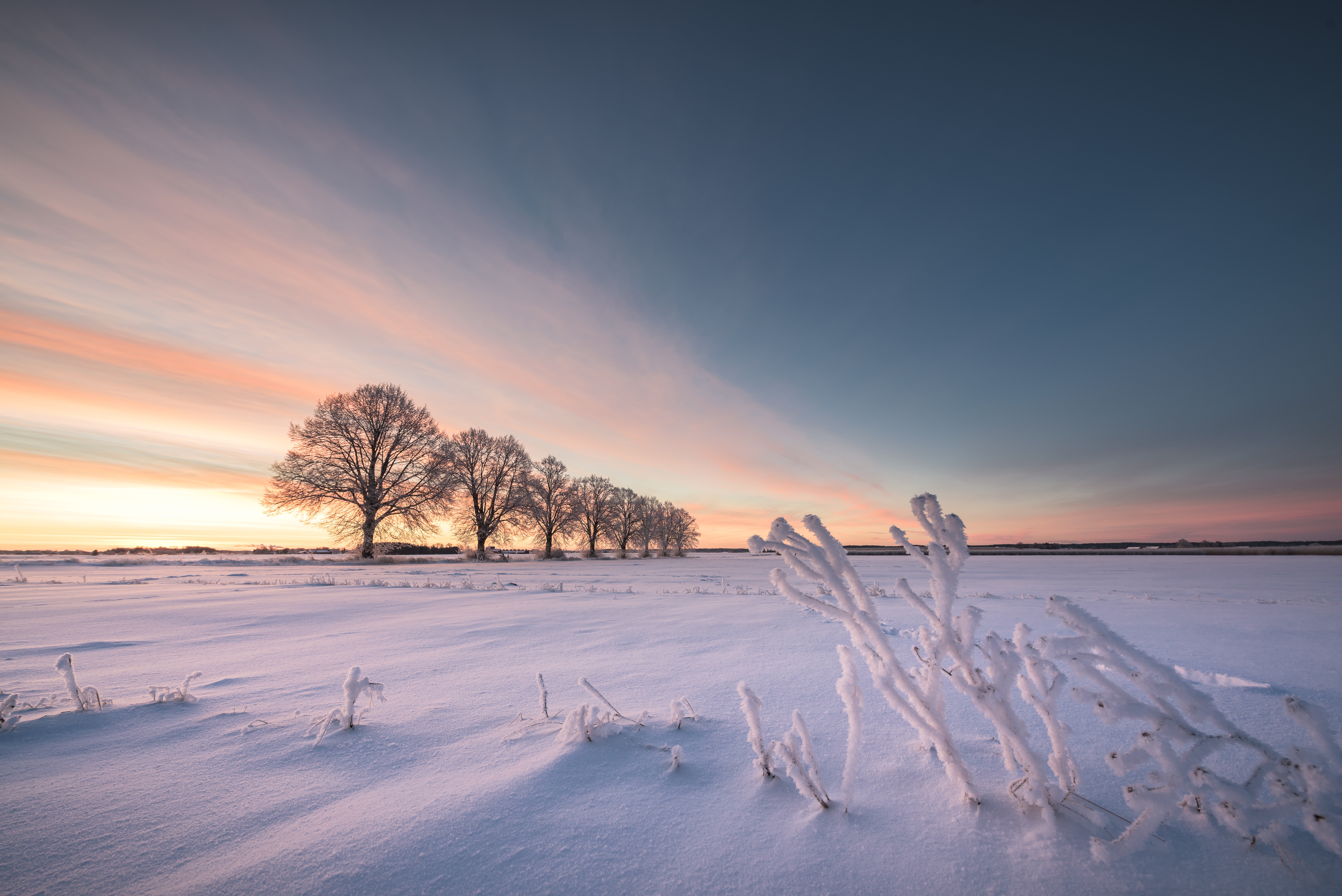 Descarga gratis la imagen Invierno, Naturaleza, Cielo, Nieve, Horizonte, Árbol, Tierra/naturaleza, Arbolado en el escritorio de tu PC