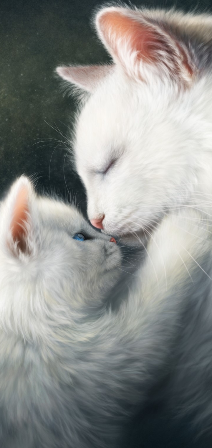 Download mobile wallpaper Cats, Love, Cat, Kitten, Animal, Hug for free.