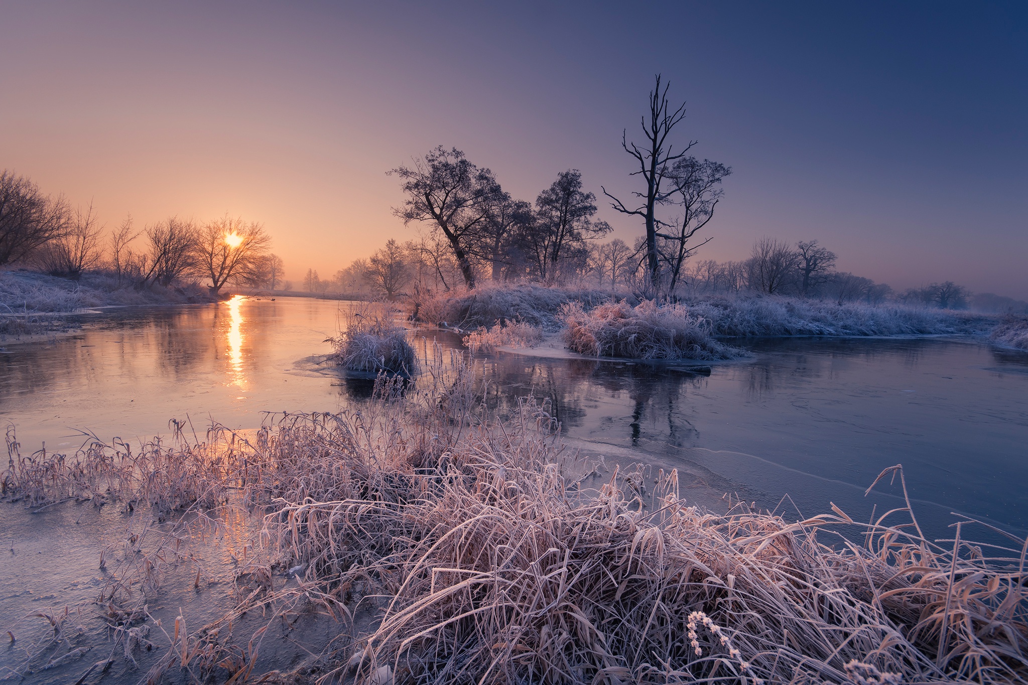 Download mobile wallpaper Winter, Dawn, Tree, Sunrise, Earth, Morning, Frost, River for free.