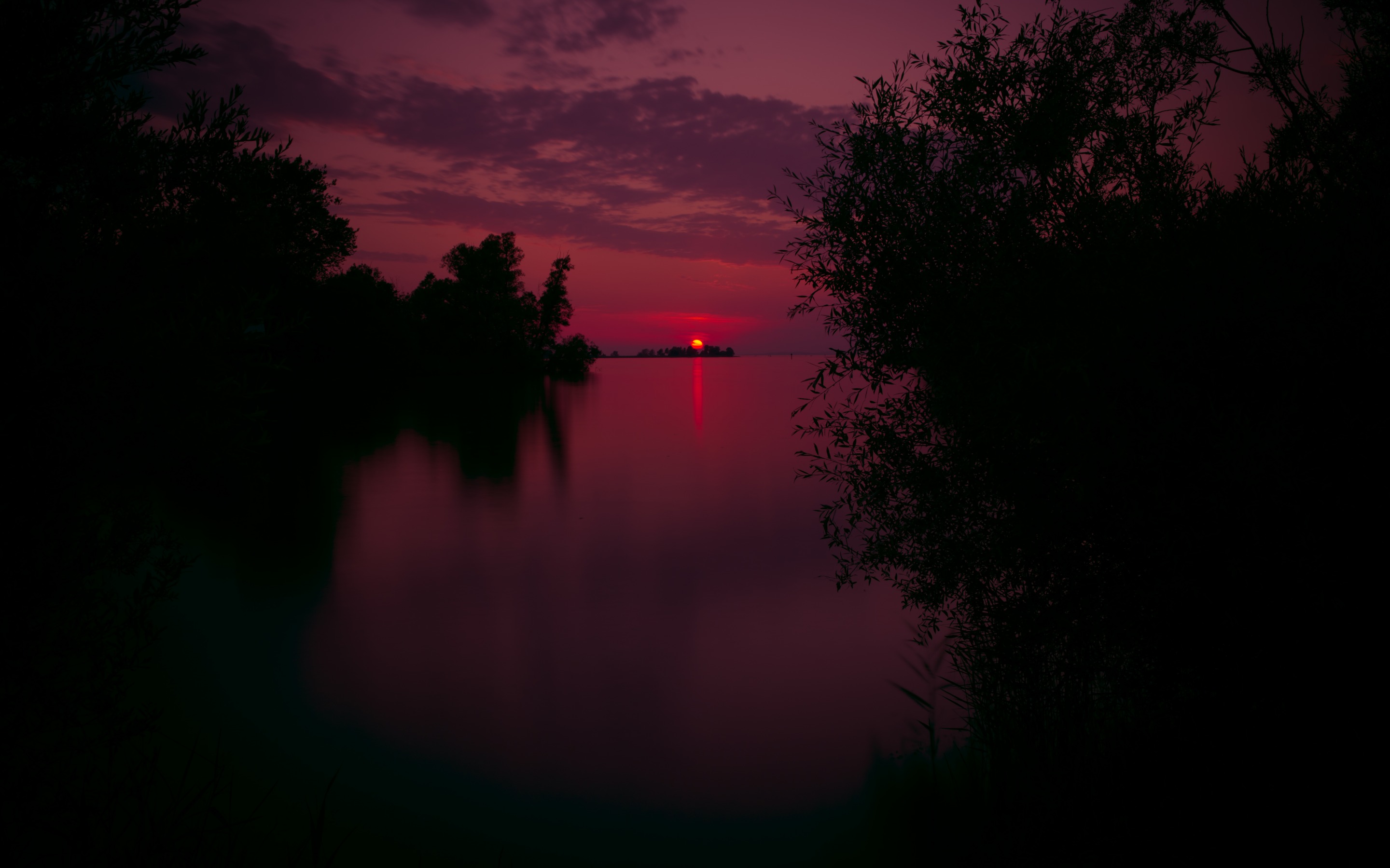 Download mobile wallpaper Sunset, Sky, Horizon, Lake, Silhouette, Tree, Earth, Purple for free.