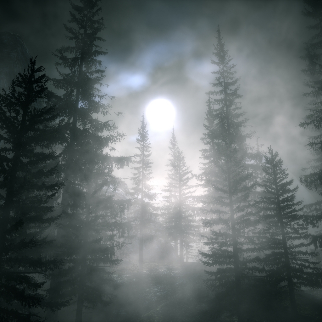 Laden Sie das Natur, Wald, Baum, Nebel, Mondlicht, Künstlerisch-Bild kostenlos auf Ihren PC-Desktop herunter