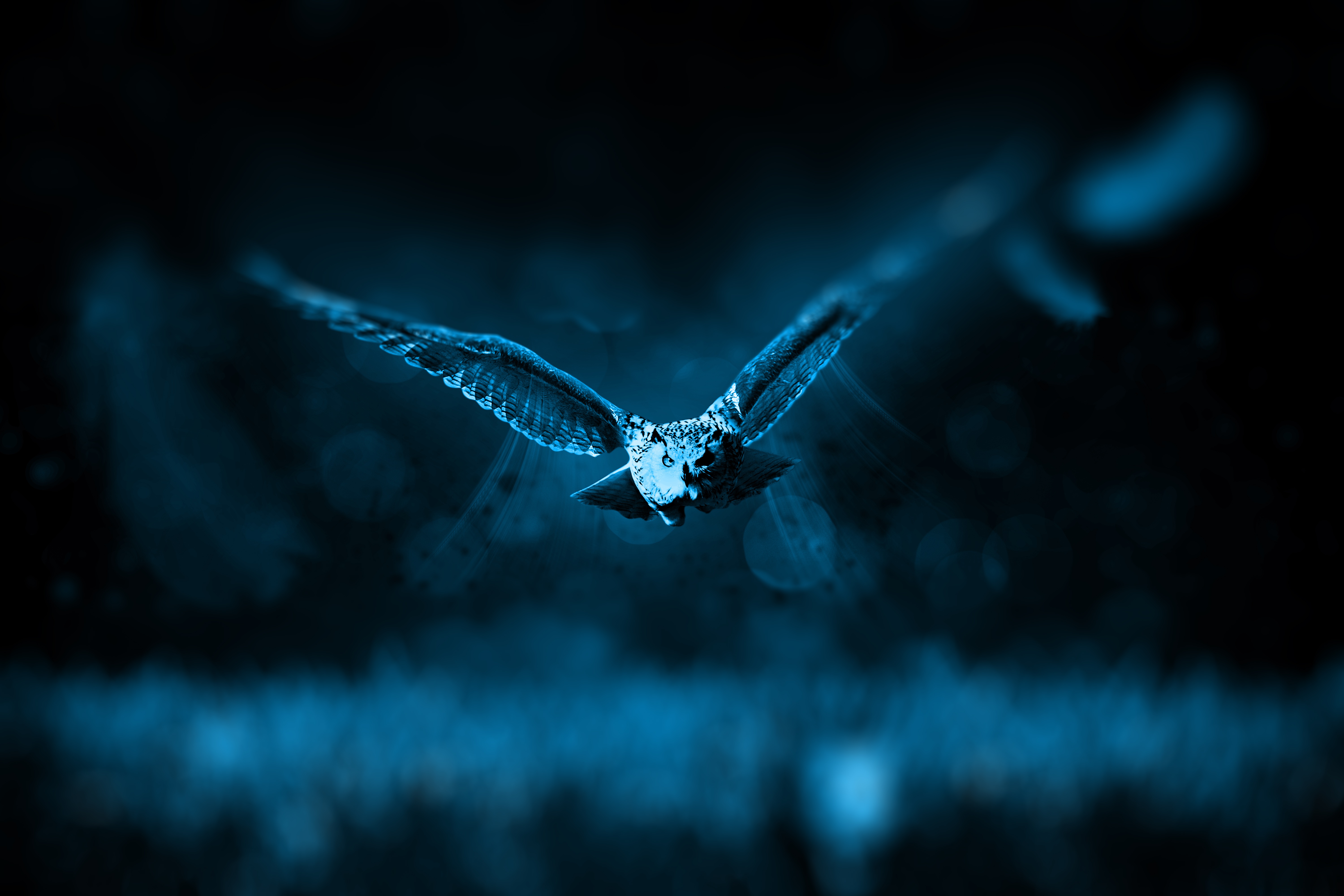 owl, photoshop, predator, animals, bird, flight Full HD