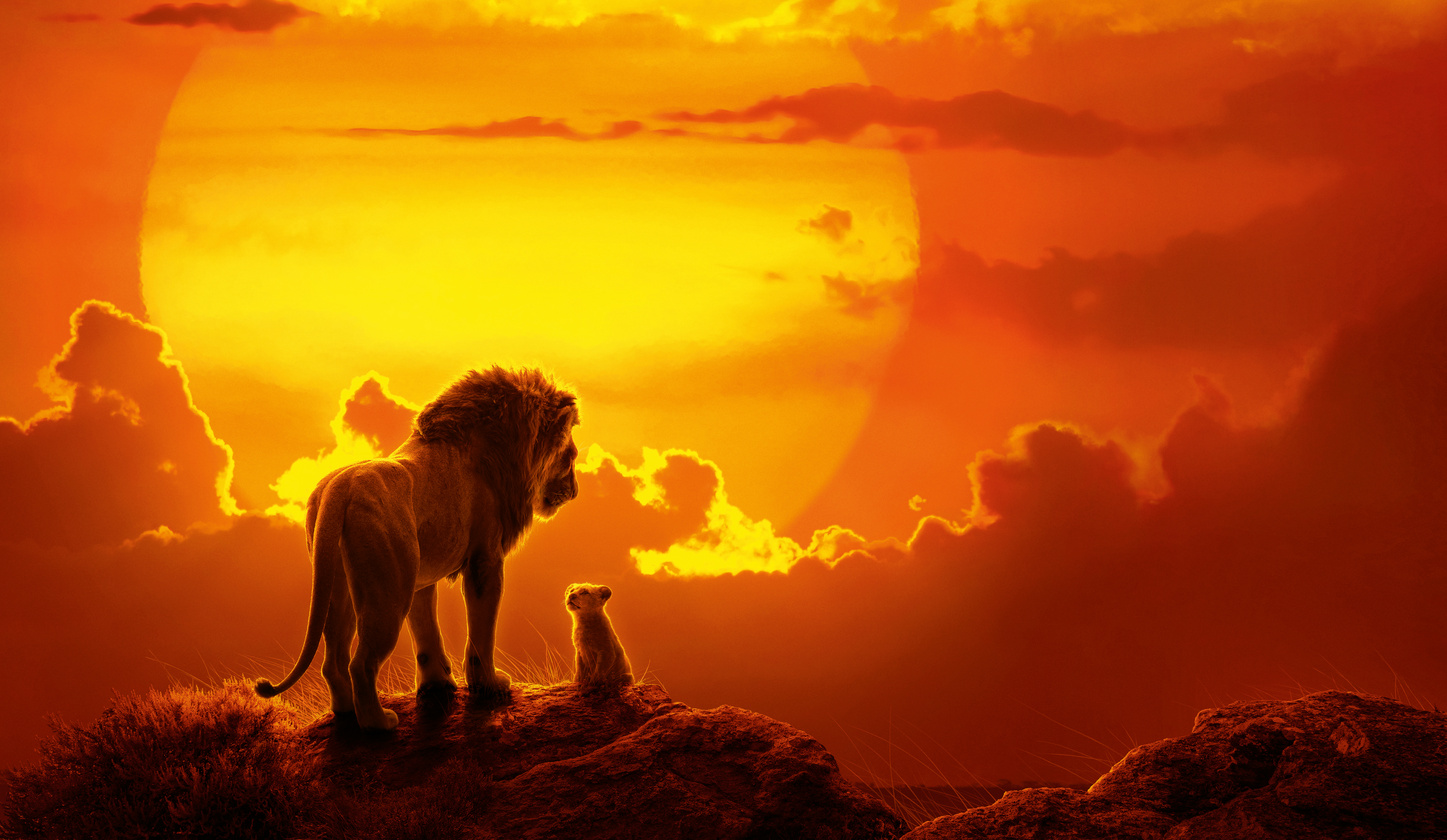 1532509 завантажити шпалери фільм, король лев (2019), дитинча тварини, лев, муфаса (король лев), сімба - заставки і картинки безкоштовно