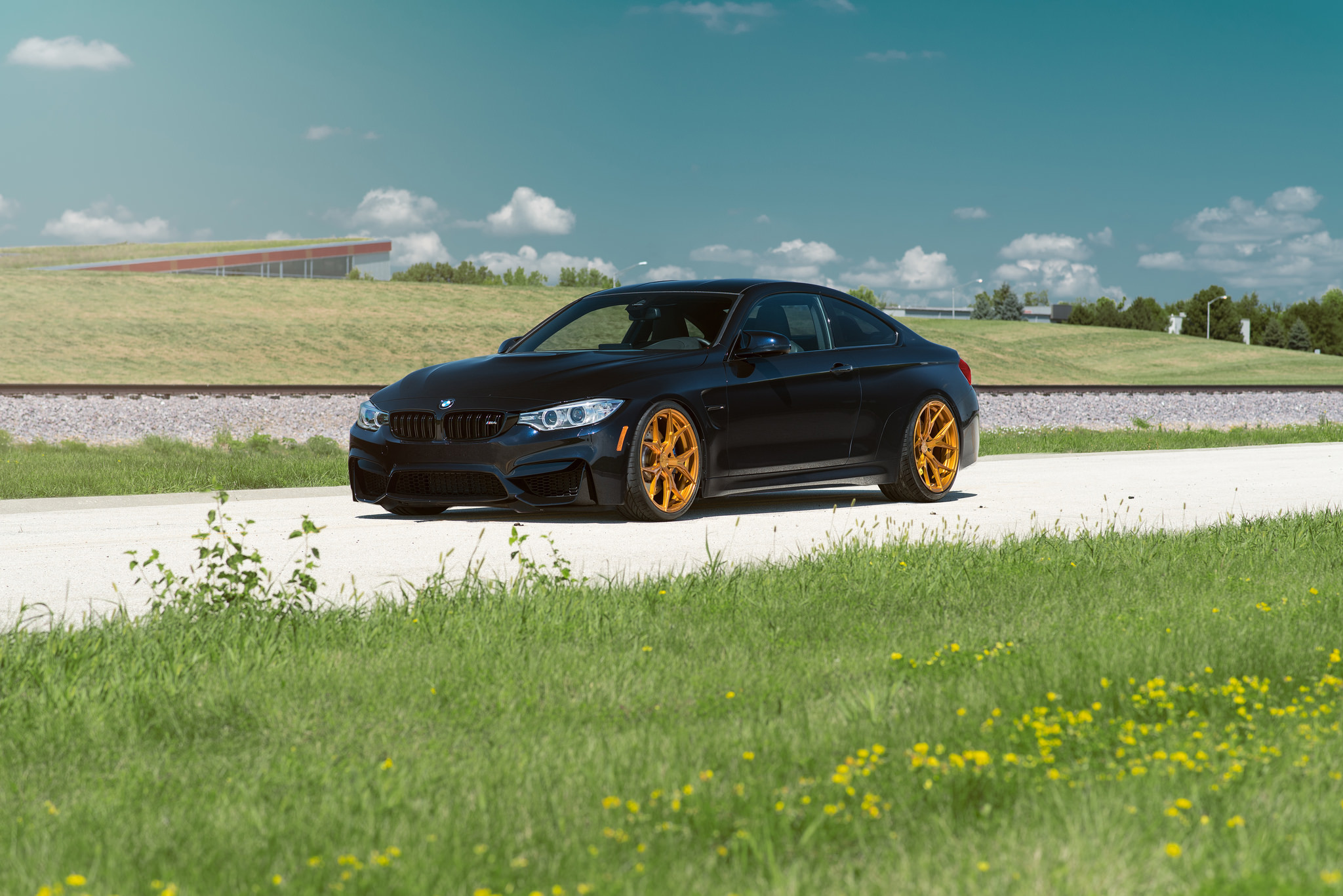 Download mobile wallpaper Side View, Grass, Cars, Bmw for free.