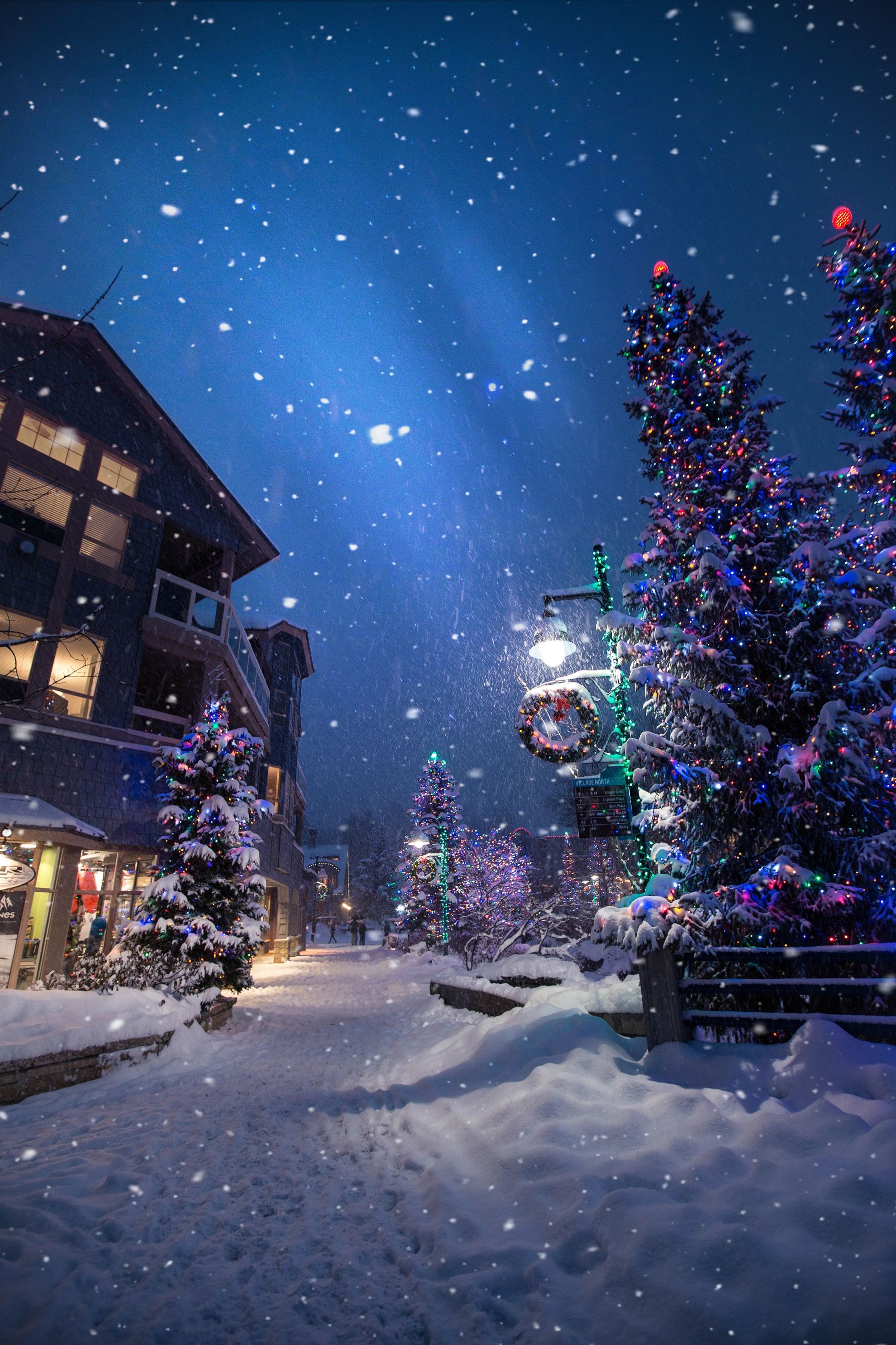 Download "Winter" wallpapers for mobile phone, free "Winter" HD pictures