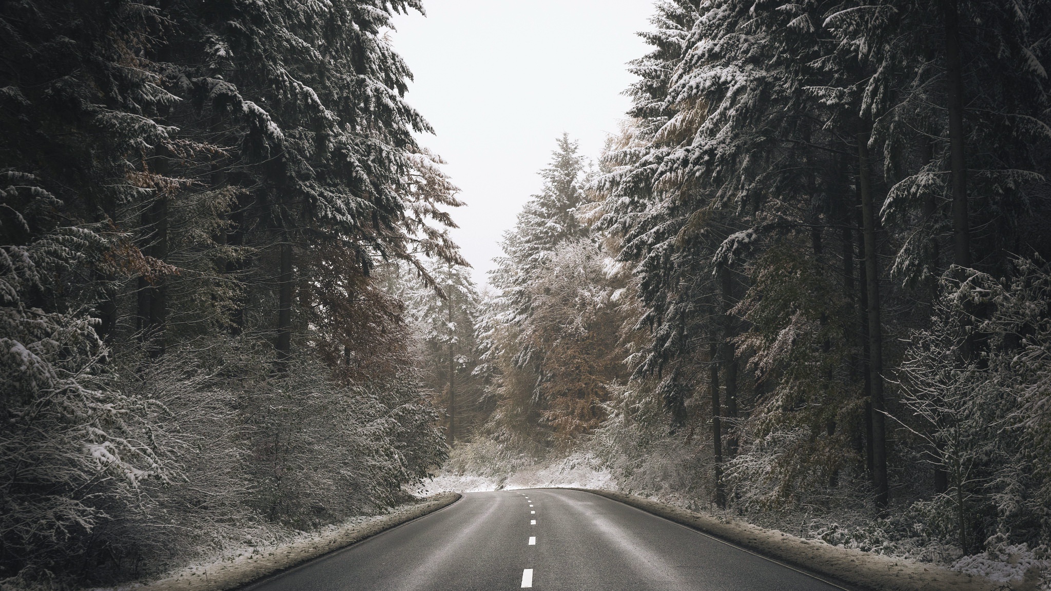 Free download wallpaper Winter, Nature, Road, Forest, Tree, Man Made on your PC desktop