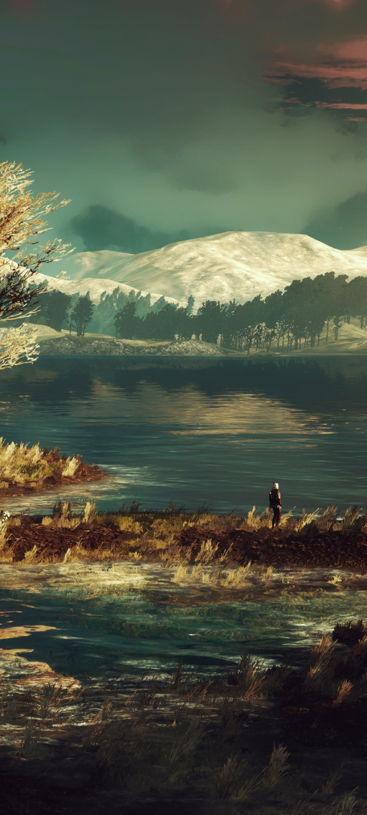 Téléchargez des papiers peints mobile Paysage, Jeux Vidéo, Le Sorceleur, Geralt De Riv, The Witcher 3: Wild Hunt gratuitement.