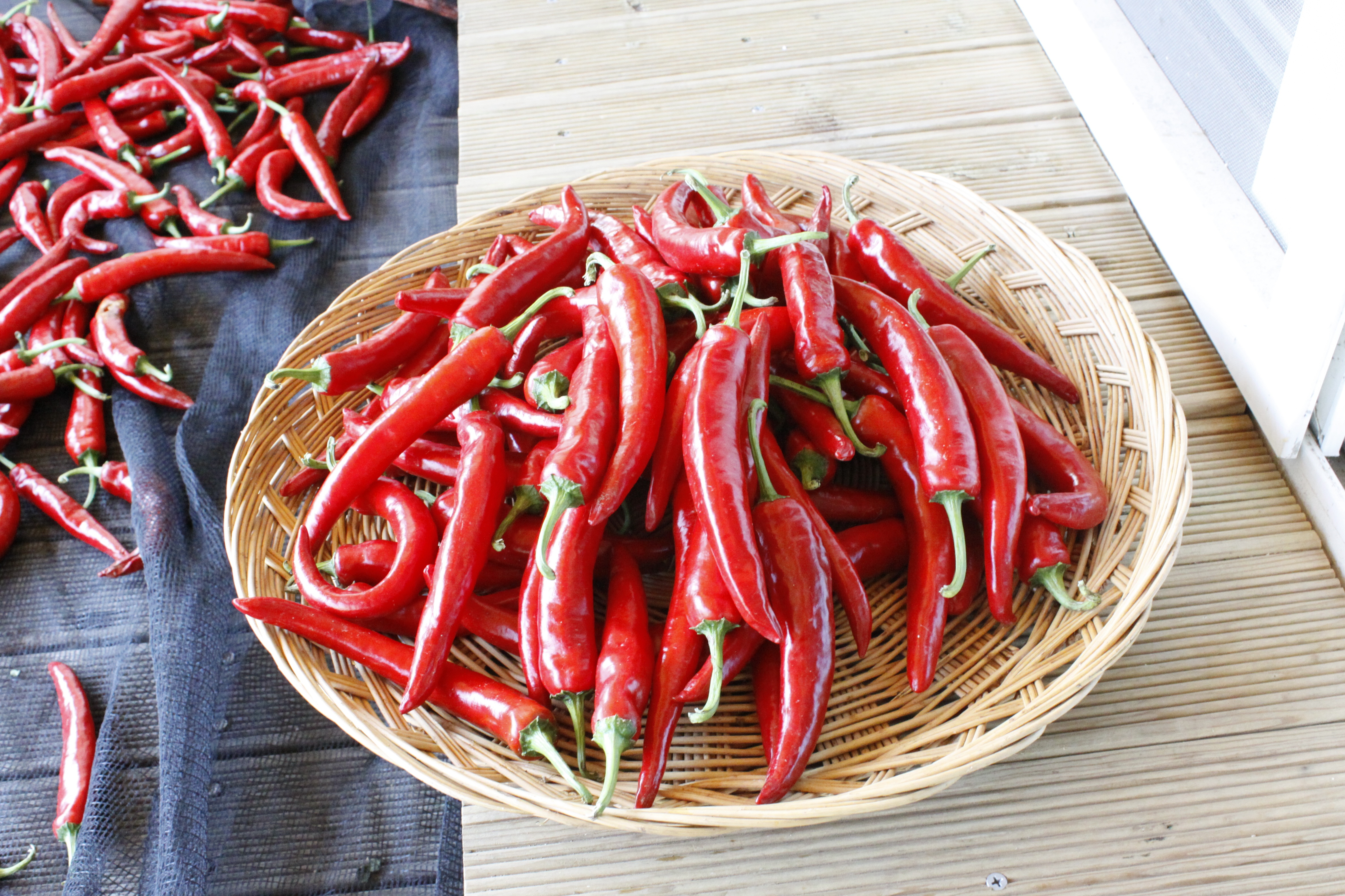 Download mobile wallpaper Basket, Pepper, Food, Chile for free.