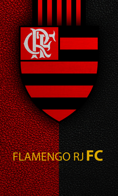 無料モバイル壁紙スポーツ, サッカー, ロゴ, クラブ デ レガータス ド フラメンゴをダウンロードします。