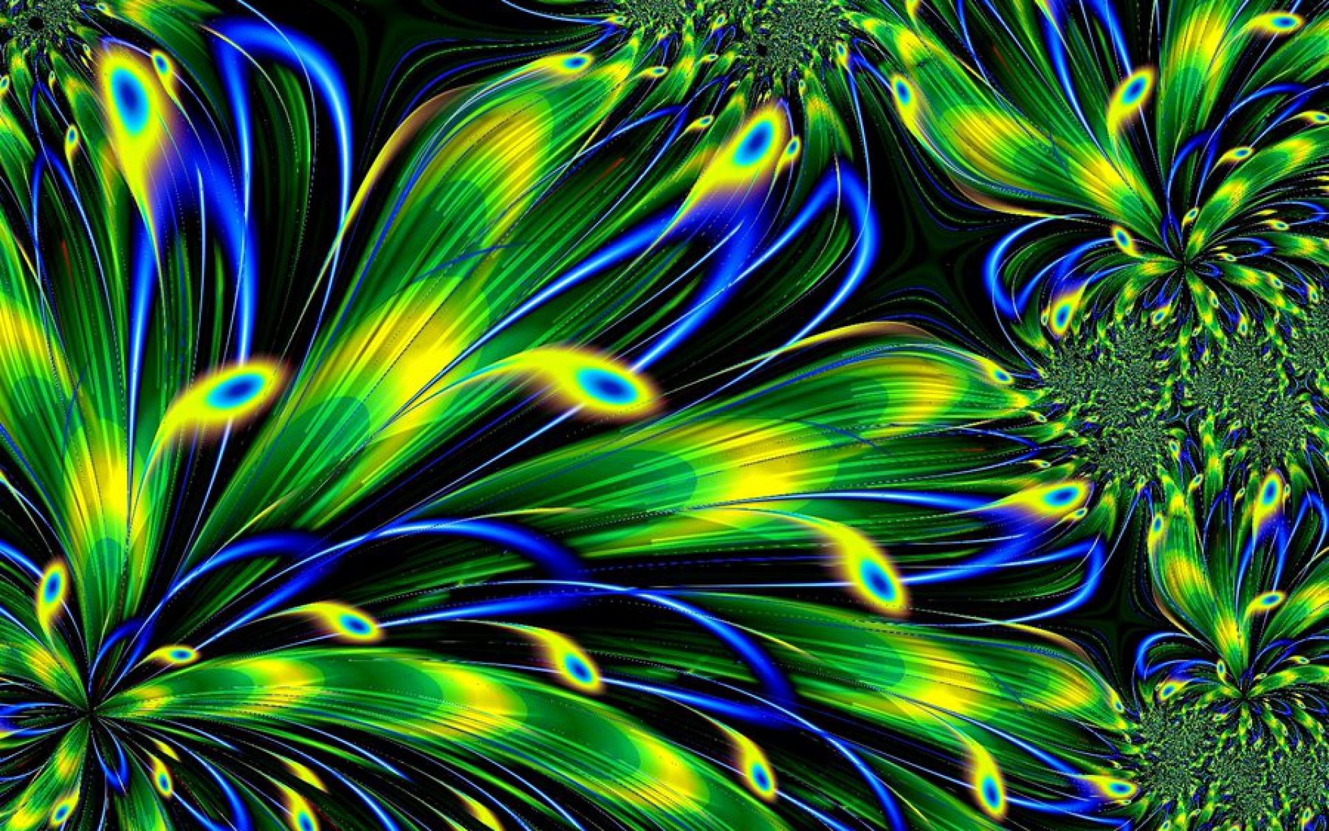 Free download wallpaper Abstract, Feather, Colors on your PC desktop