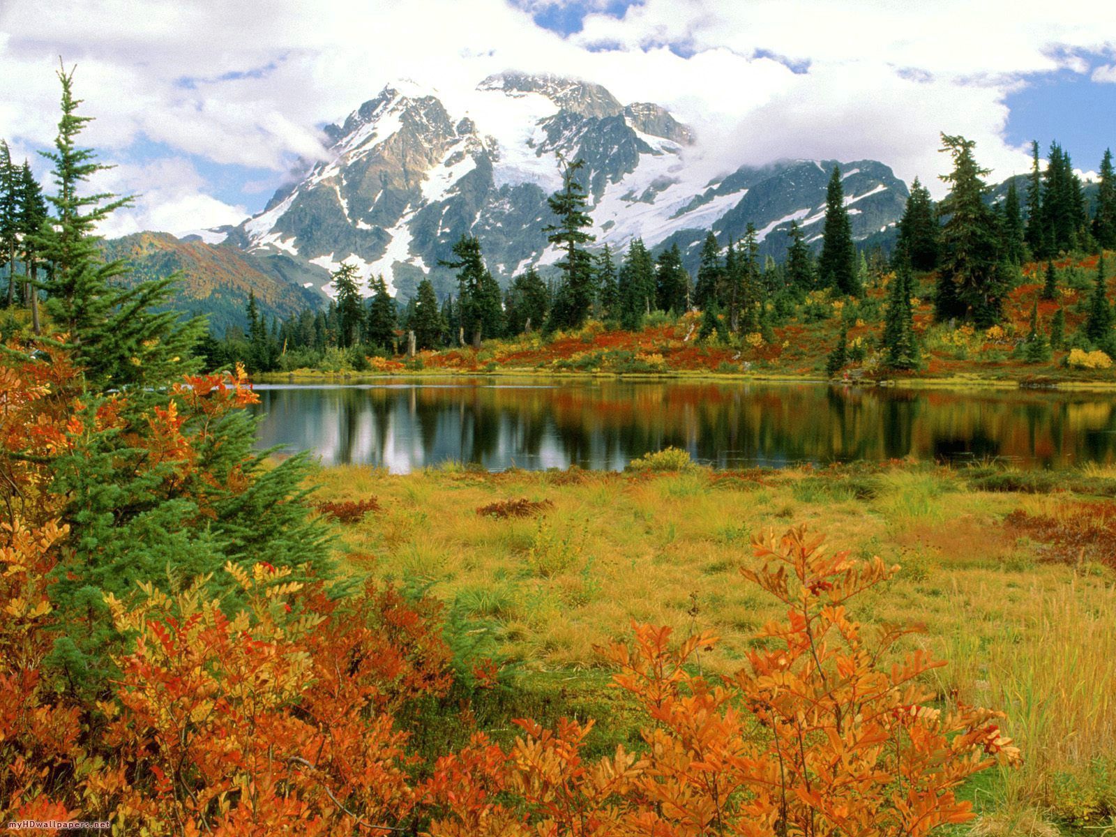 Скачать обои бесплатно Природа, Даль, Деревья, Озеро, Свет, Осень картинка на рабочий стол ПК
