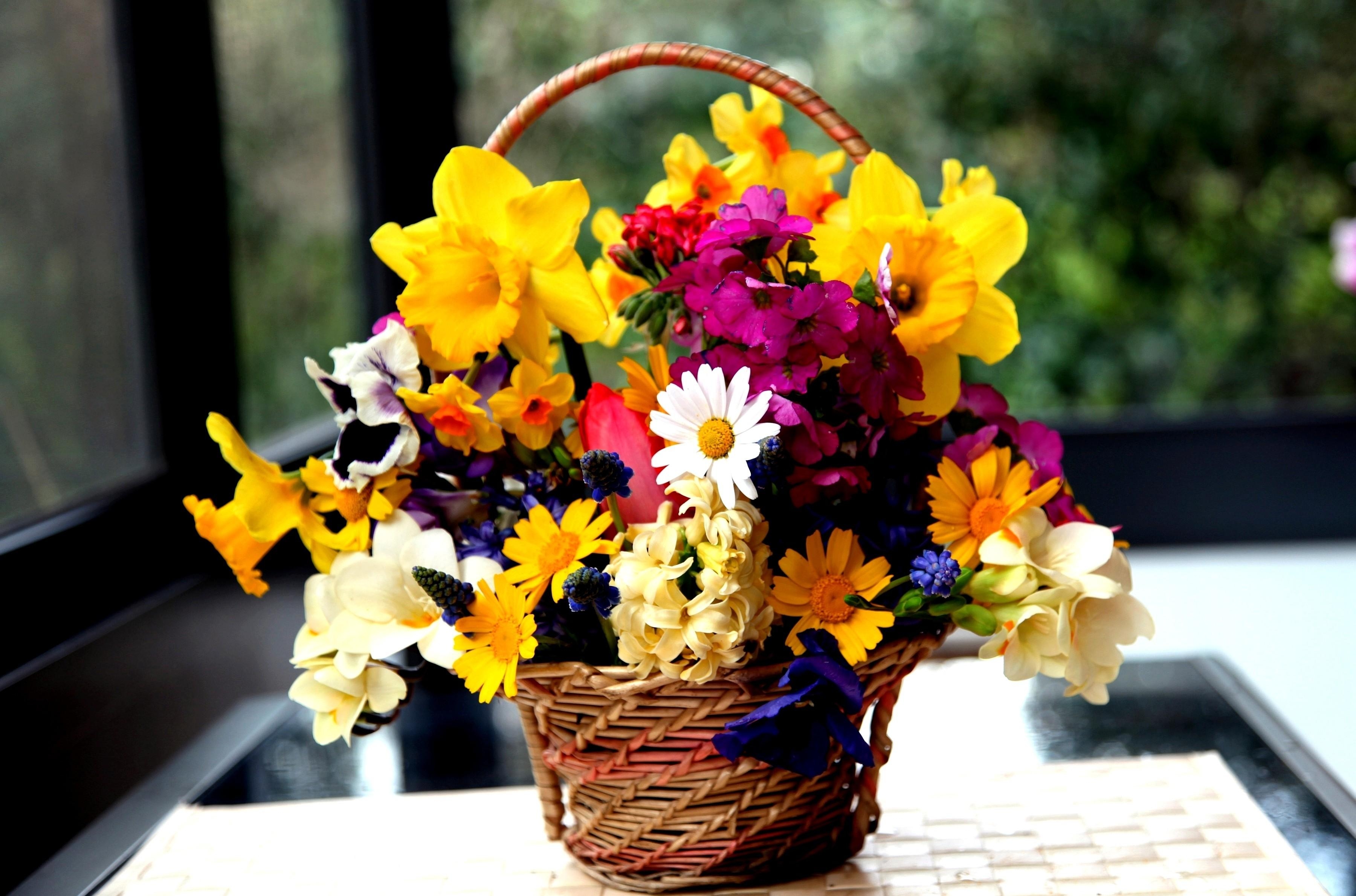 flowers, narcissussi, bouquet, basket, hydrangea, freesia, muscari, muskari, viola, viol