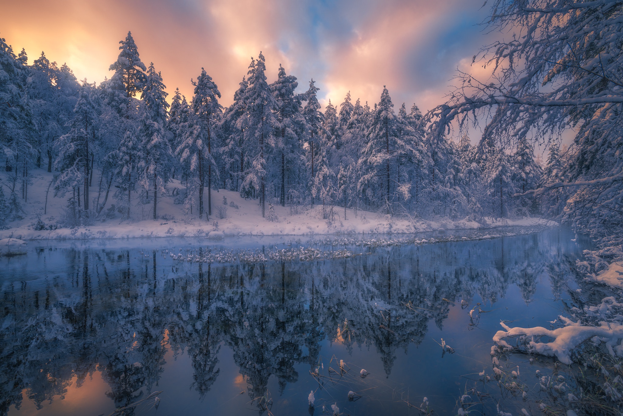 Скачать картинку Зима, Природа, Река, Снег, Отражение, Дерево, Земля/природа в телефон бесплатно.