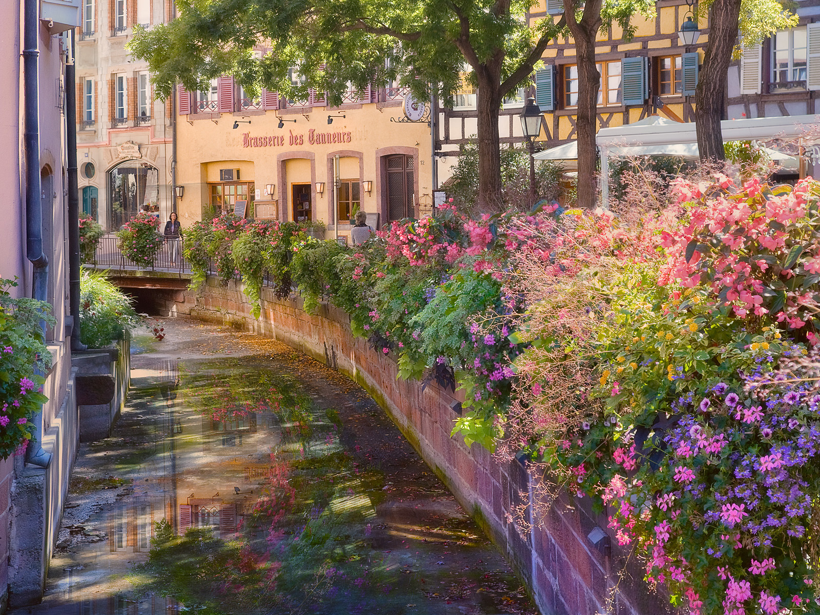 Free download wallpaper Cities, Flowers, Landscape on your PC desktop