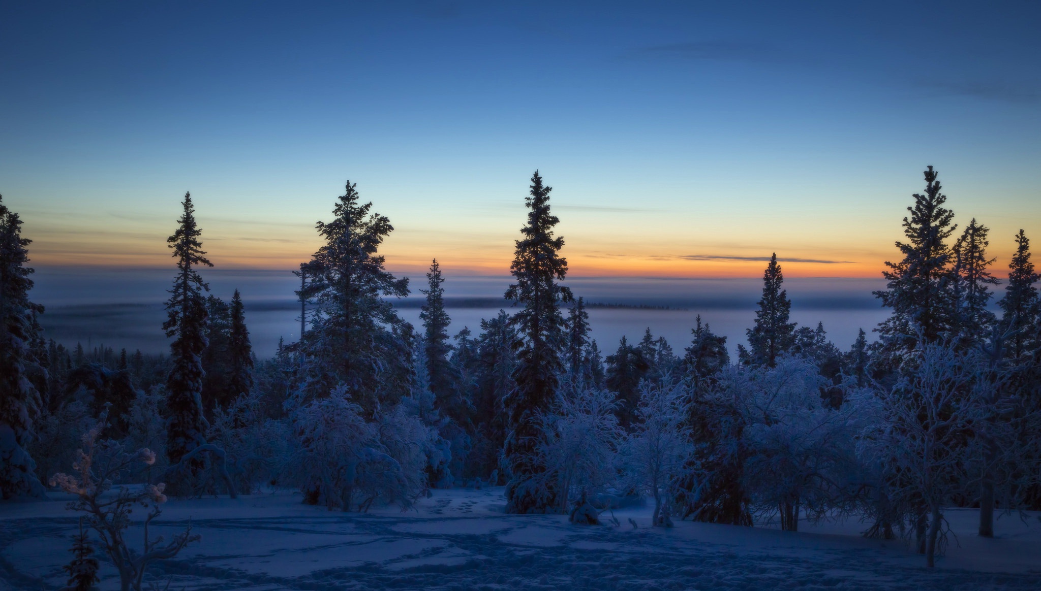 Handy-Wallpaper Winter, Natur, Horizont, Baum, Sonnenaufgang, Himmel, Erde/natur kostenlos herunterladen.