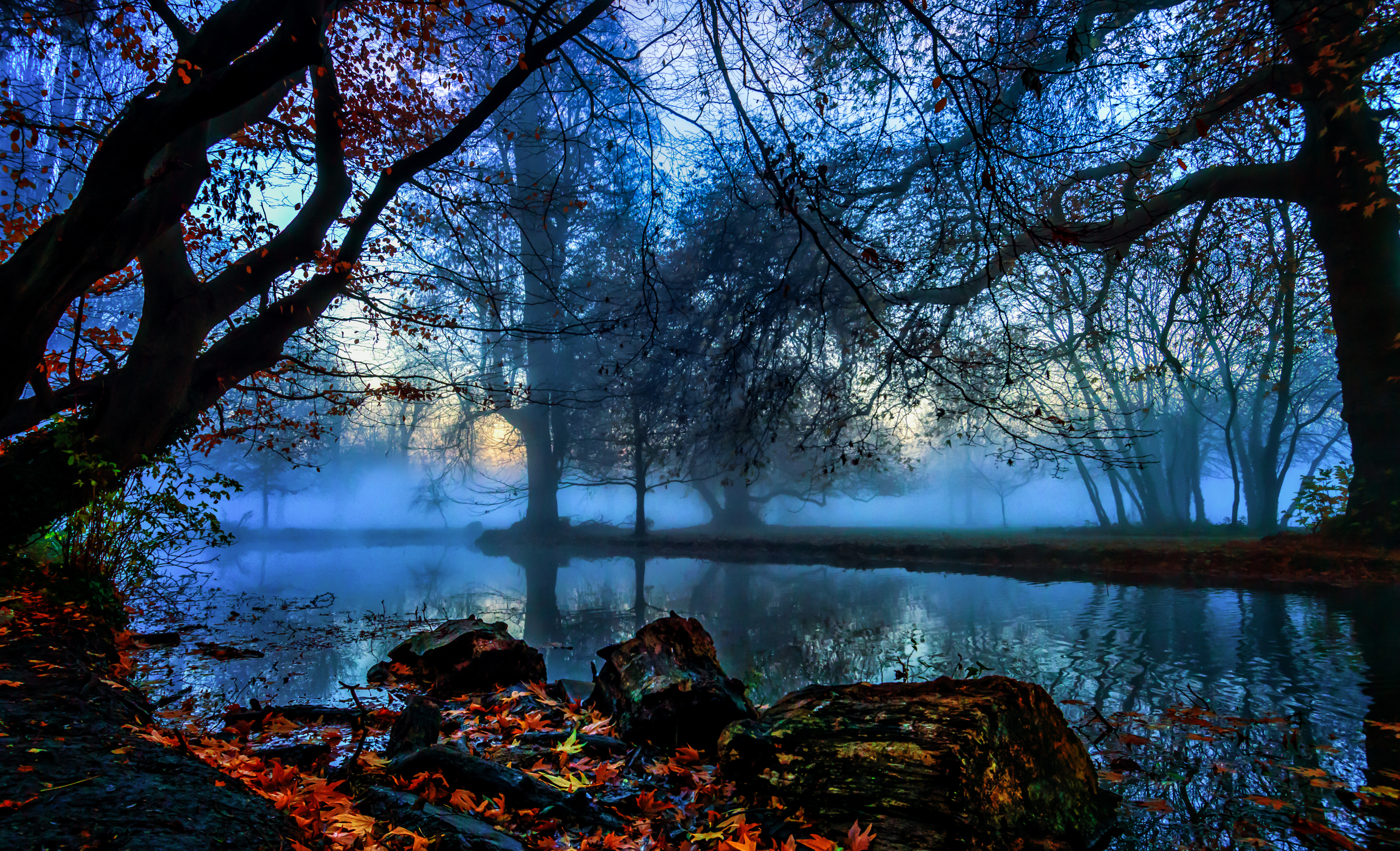 Download mobile wallpaper Nature, Reflection, Fog, Leaf, Fall, Earth, River for free.
