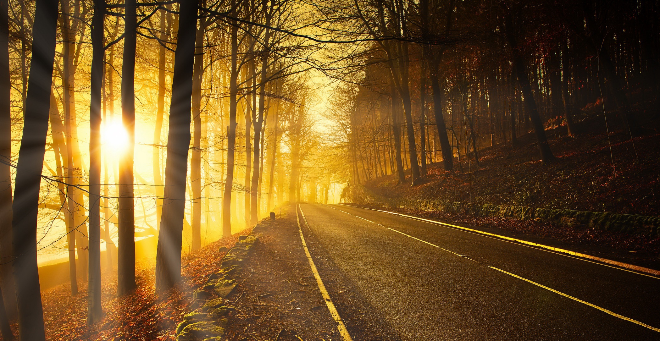 Free download wallpaper Nature, Road, Forest, Tree, Sunbeam, Man Made on your PC desktop