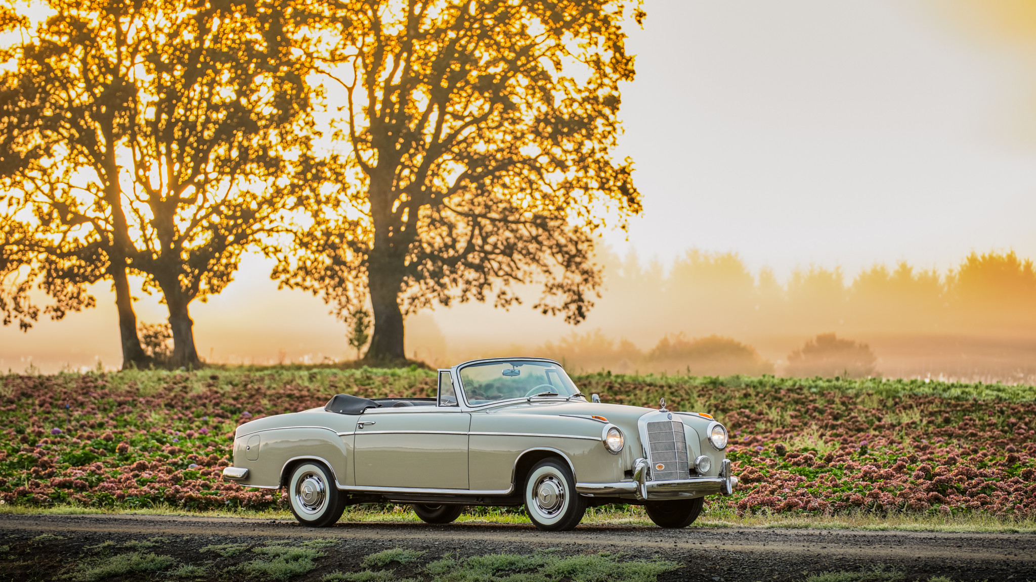 Cool Backgrounds  Mercedes Benz 220S