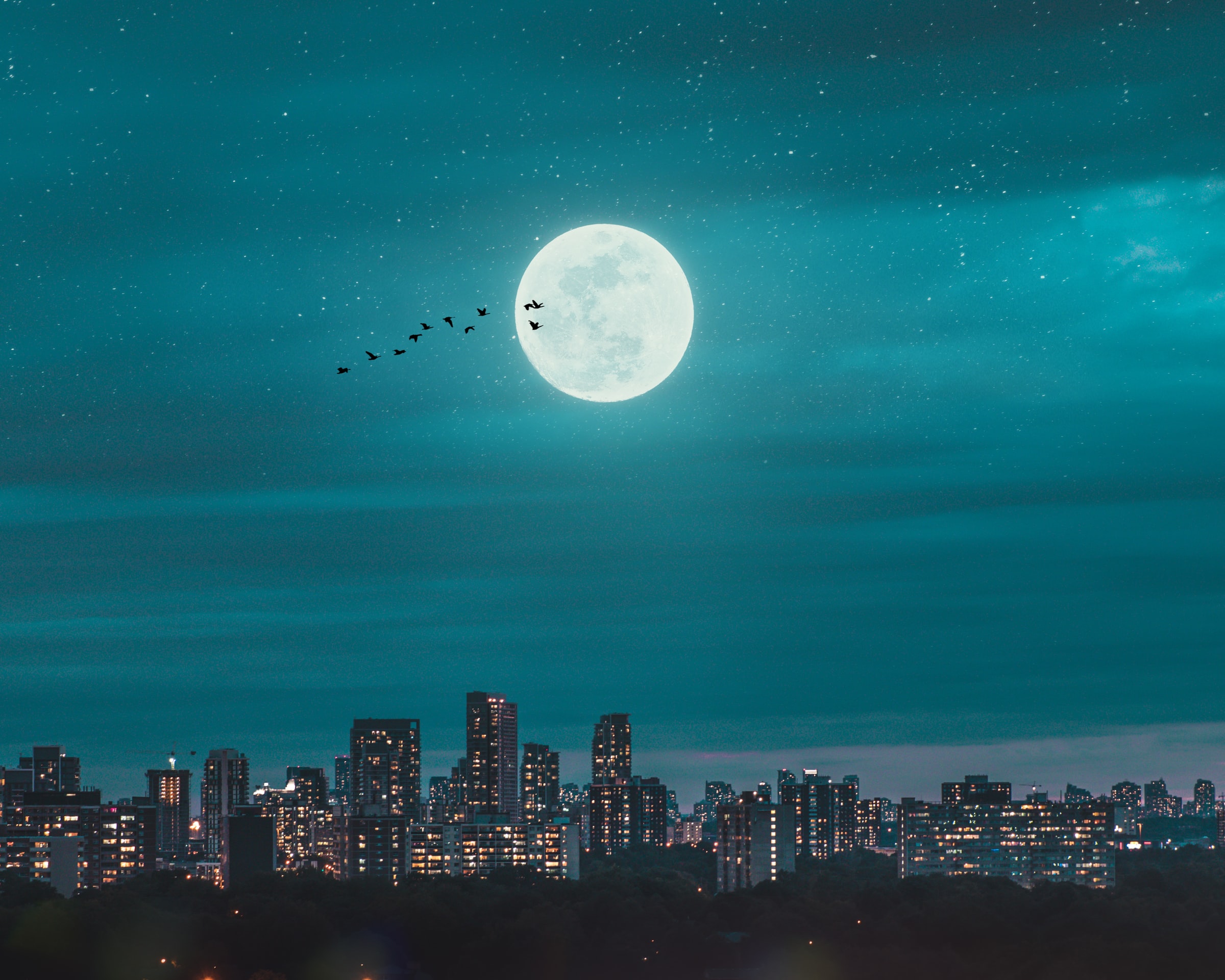 Free download wallpaper Cities, Birds, City, Night, Moon on your PC desktop