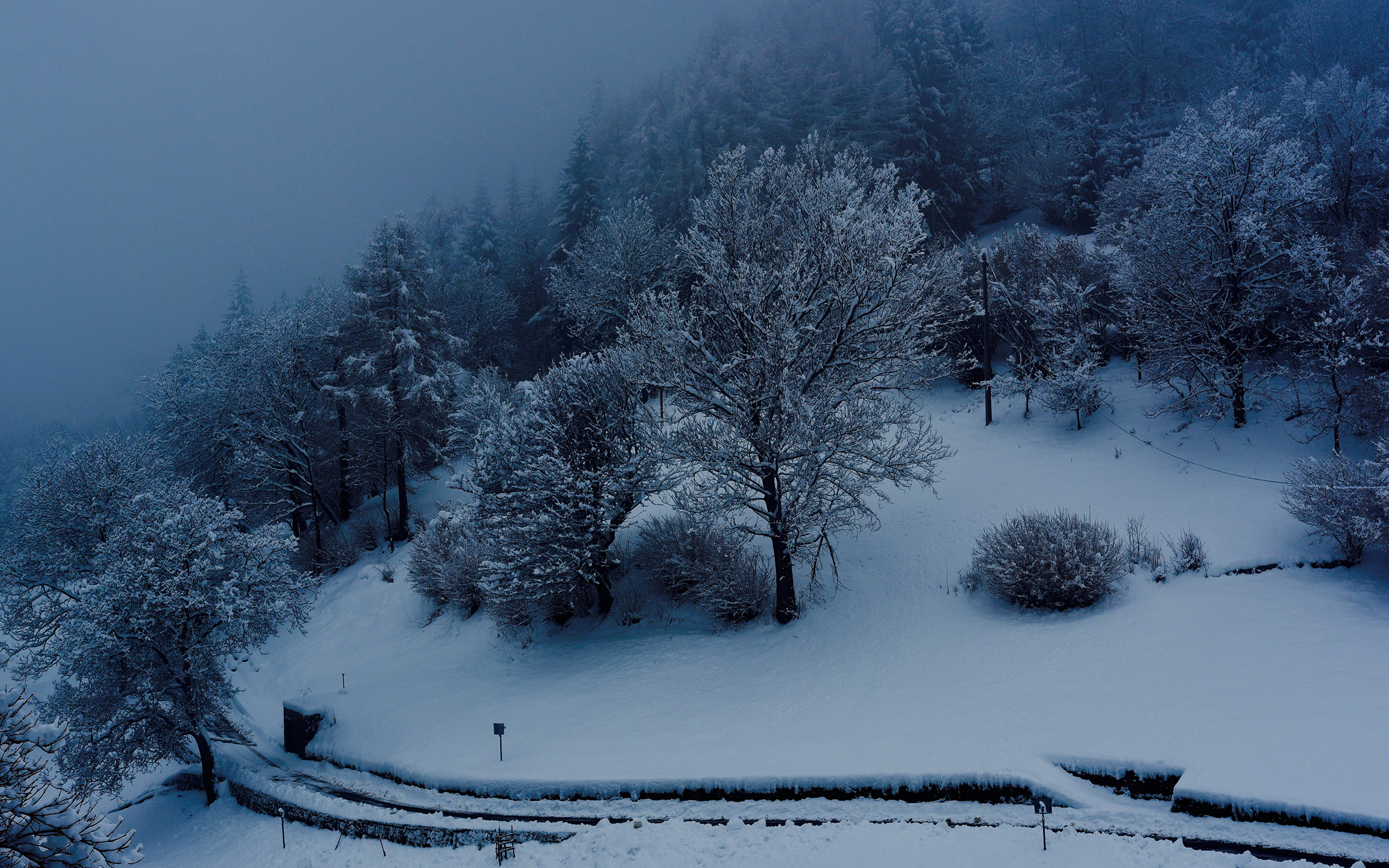 Baixar papel de parede para celular de Inverno, Neve, Montanha, Árvore, Terra/natureza gratuito.