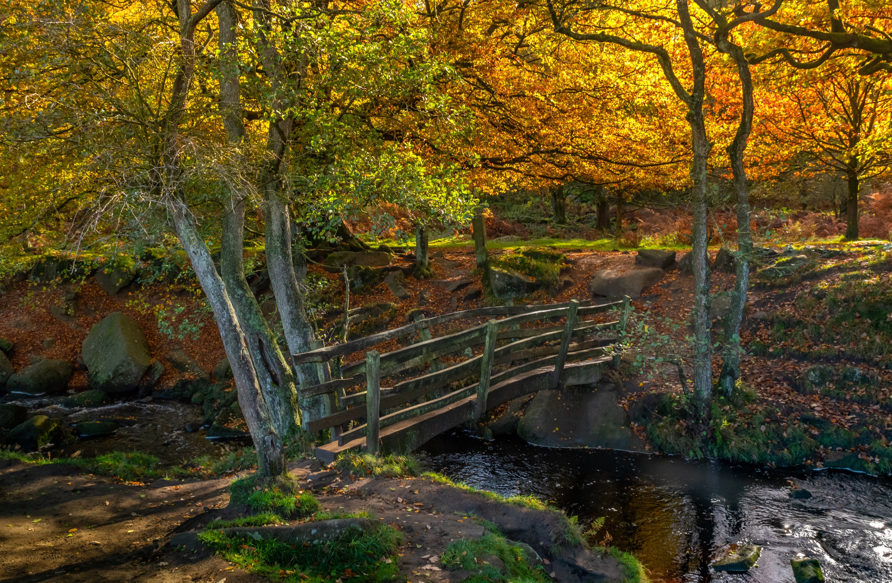 Free download wallpaper Nature, Forest, Fall, Bridge, River, Photography on your PC desktop
