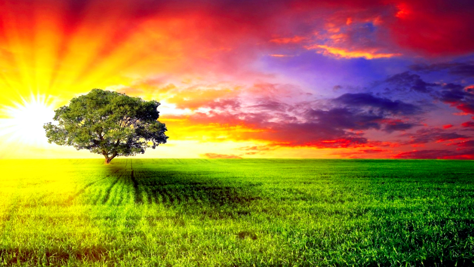 Baixe gratuitamente a imagem Pôr Do Sol, Grama, Árvore, Campo, Artistico na área de trabalho do seu PC