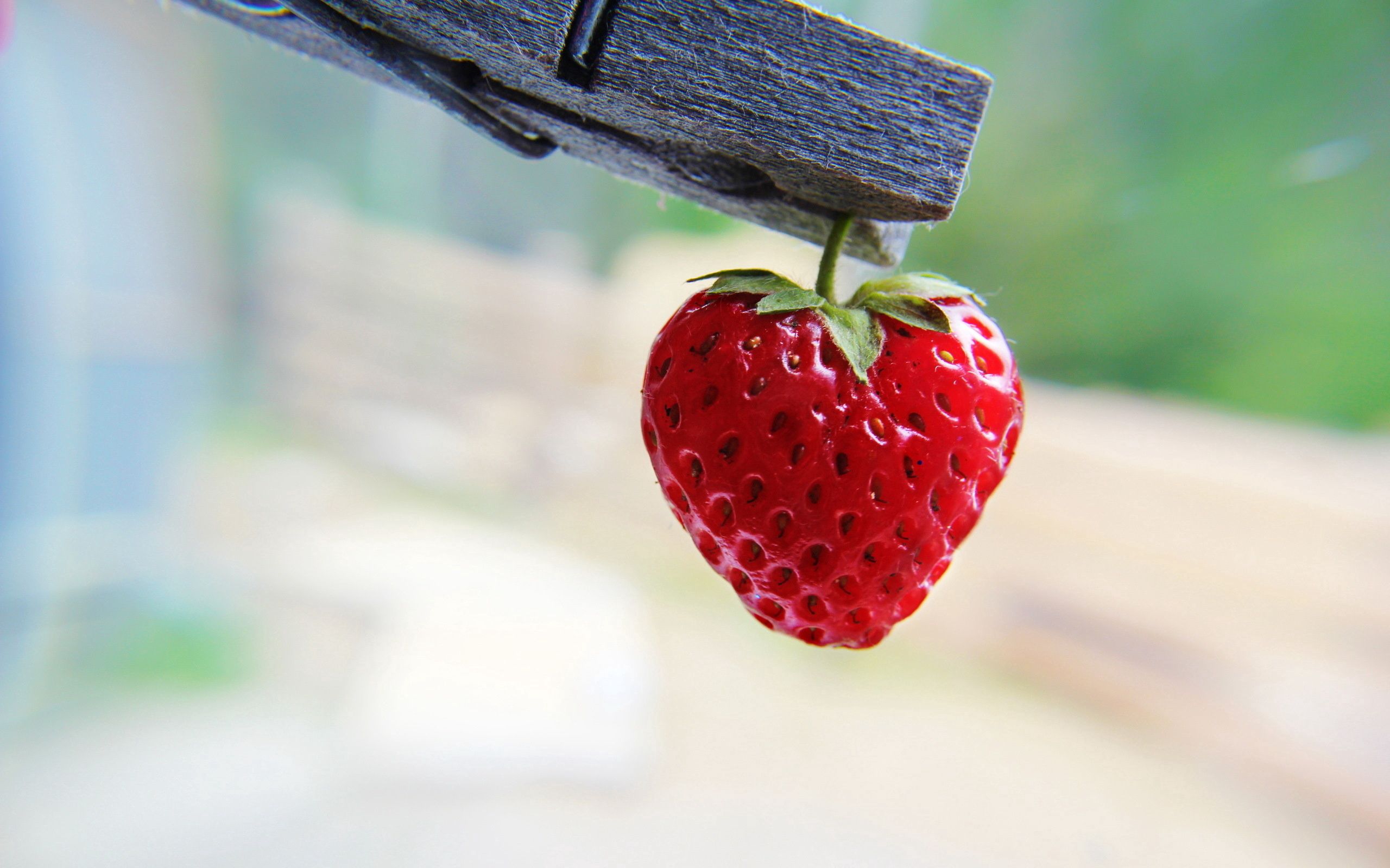 strawberry, food, berry, pin, clothespin HD wallpaper