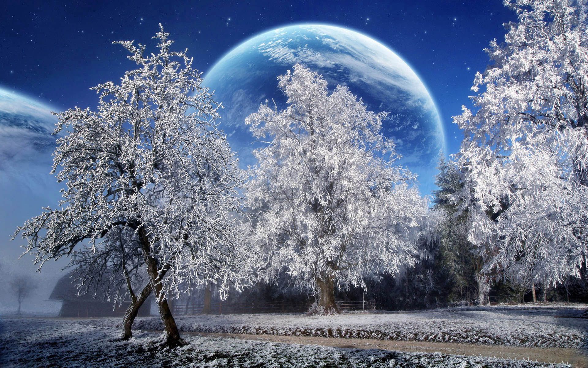 Download mobile wallpaper Hoarfrost, Frost, Land, Park, Trees, Stars, Planet, Sky, Earth, Fantasy for free.