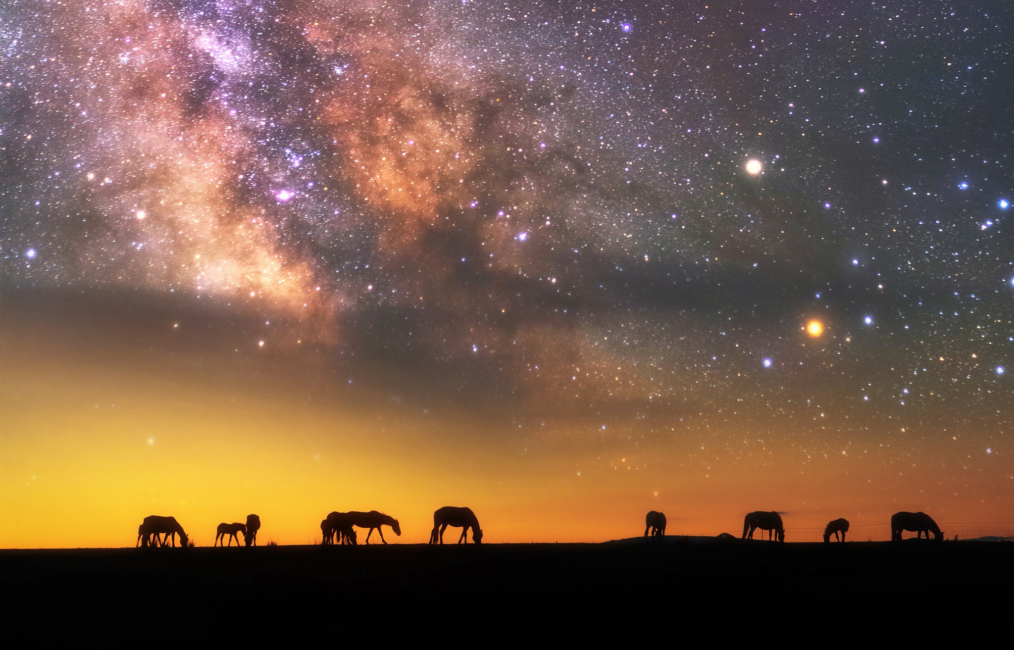 Скачать обои бесплатно Животные, Небо, Звезды, Ночь, Силуэт, Звездное Небо, Млечный Путь, Лошадь картинка на рабочий стол ПК